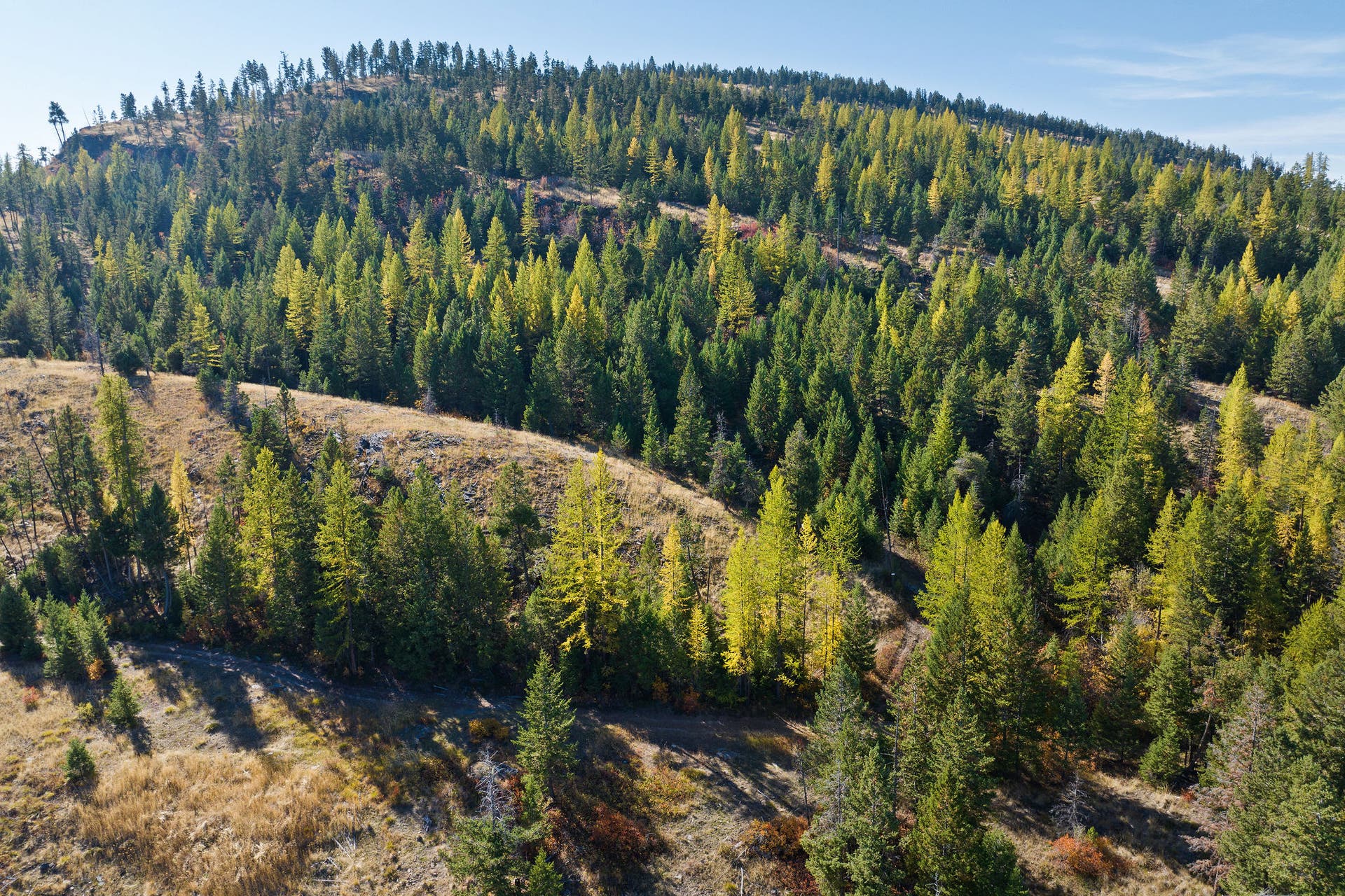 1230 Truman Creek Road, Kila, MT 59920 Aerial of Property