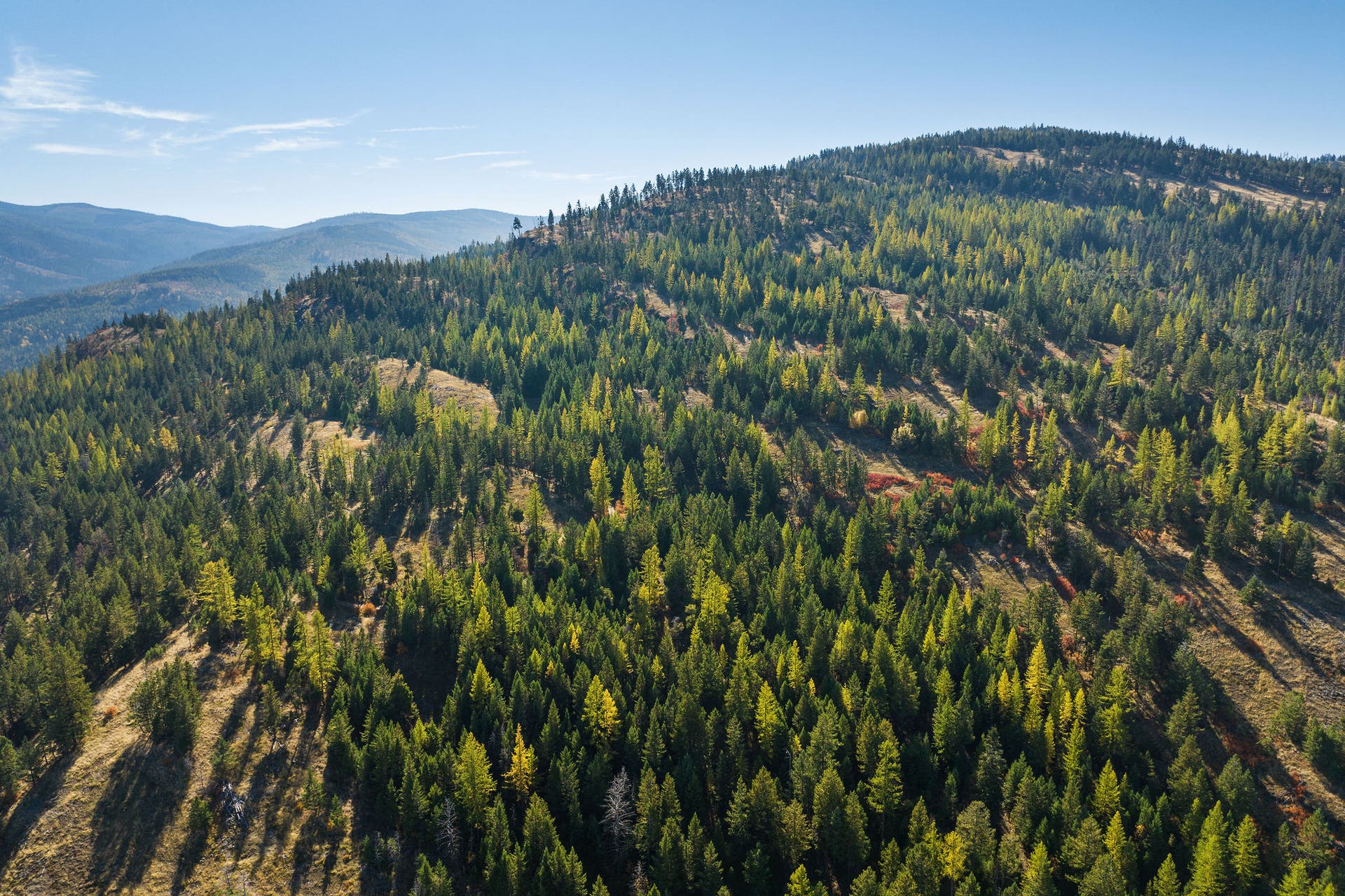 1230 Truman Creek Road, Kila, MT 59920 Aerial of Property