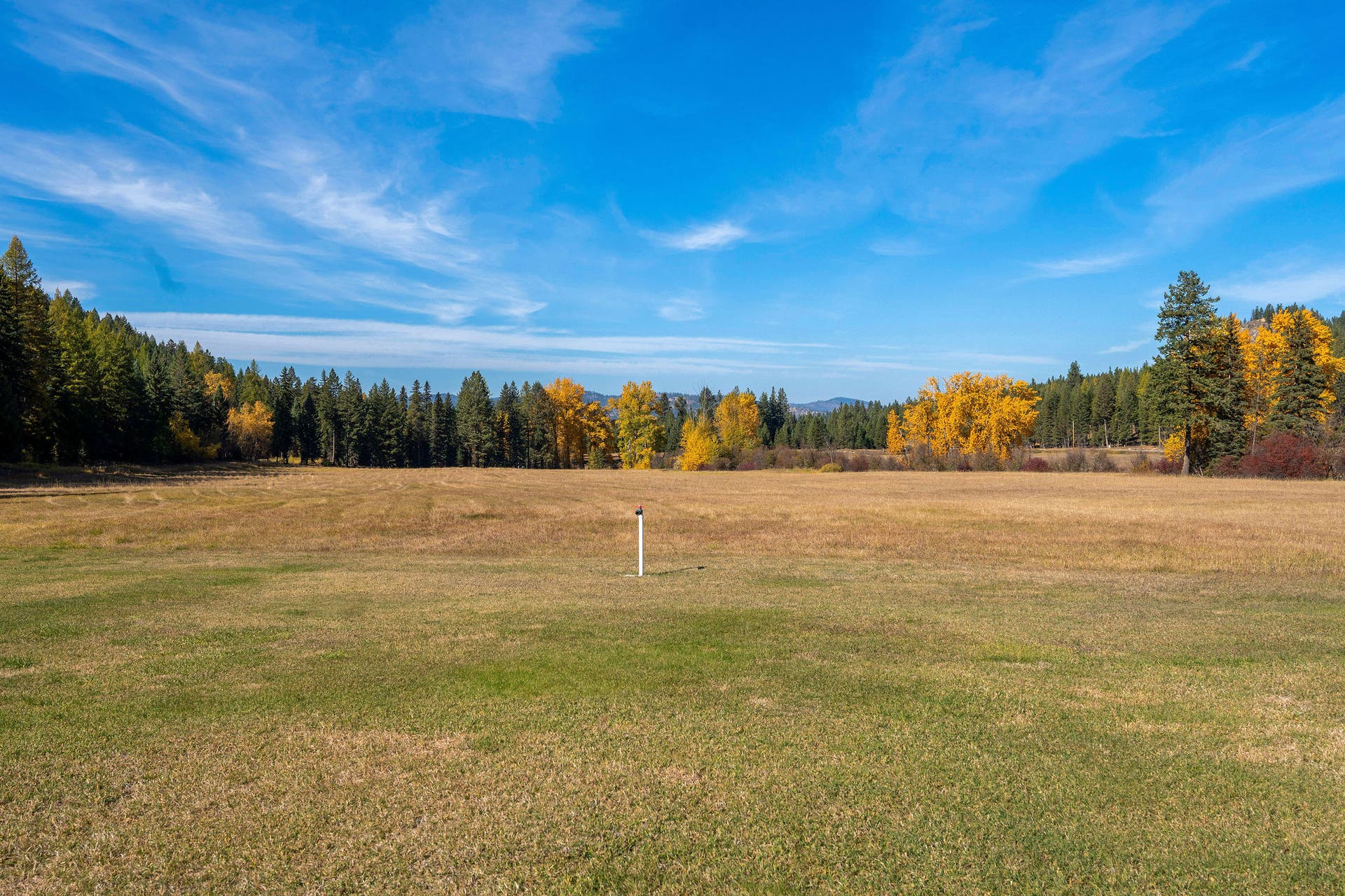 1230 Truman Creek Road, Kila, MT 59920 Pasture