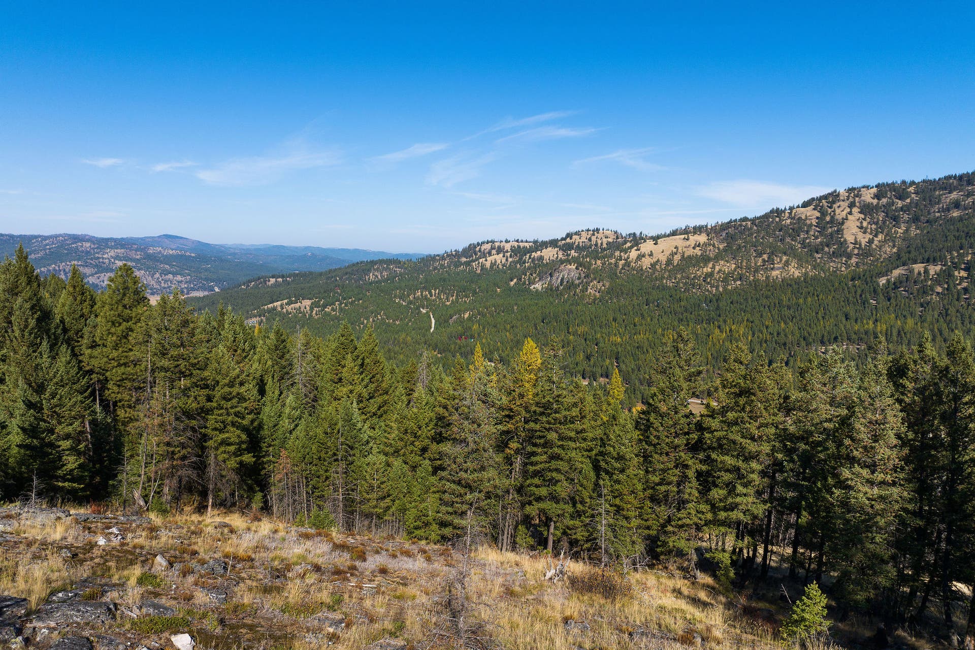 1230 Truman Creek Road, Kila, MT 59920 Aerial of Property