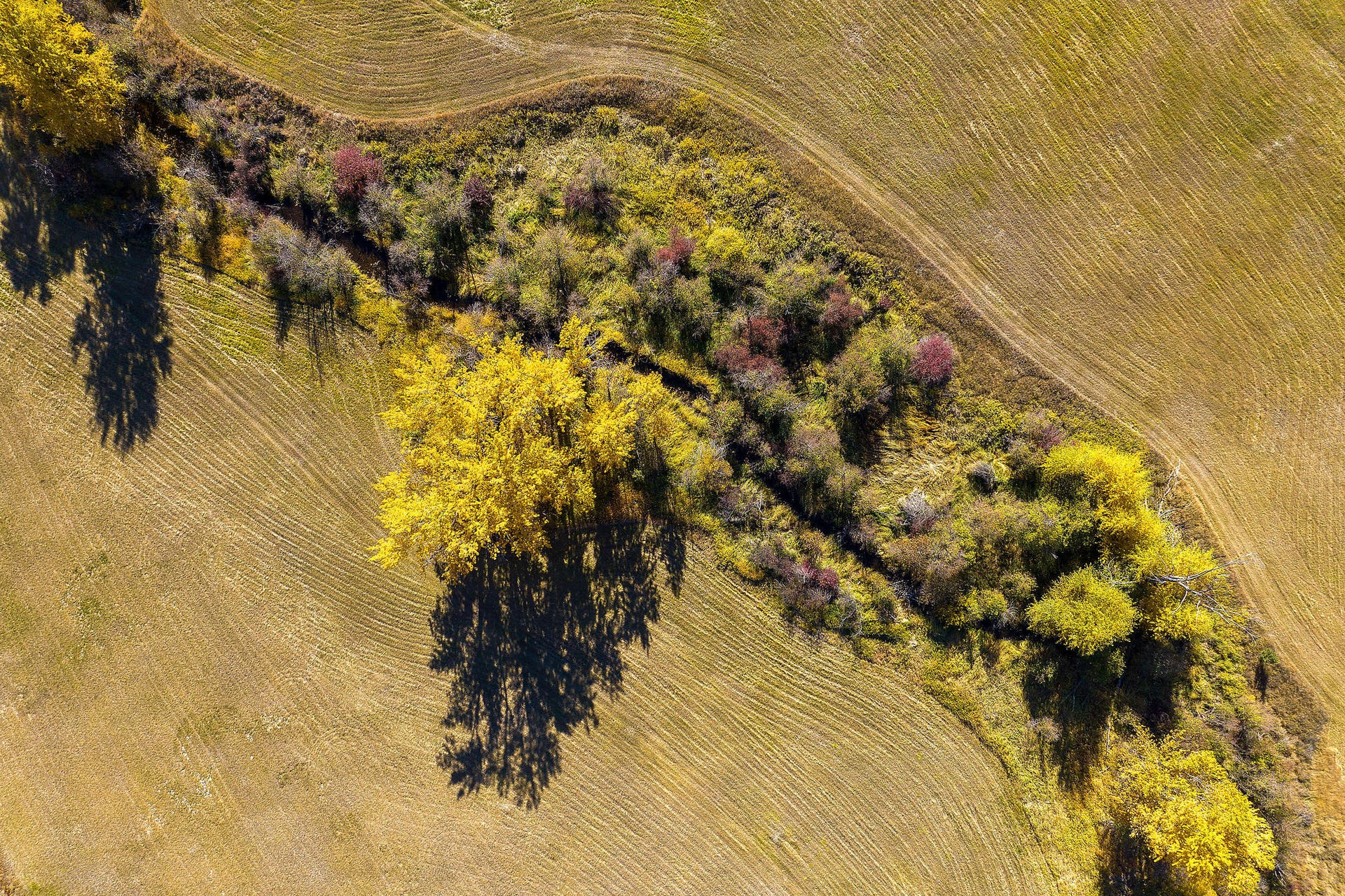 1230 Truman Creek Road, Kila, MT 59920 Truman Creek Aerial