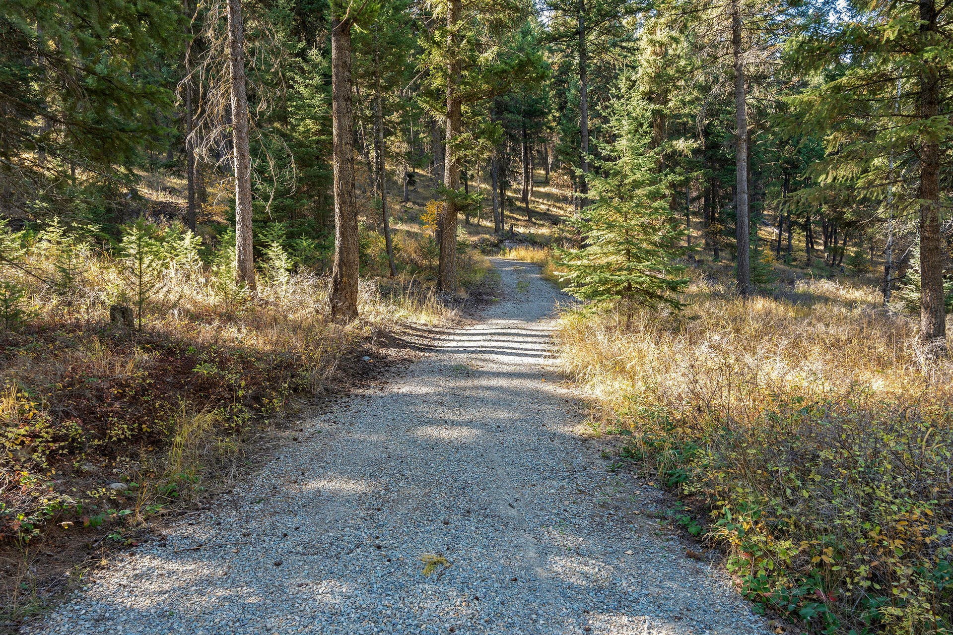 1230 Truman Creek Road, Kila, MT 59920 Pathways through Forest