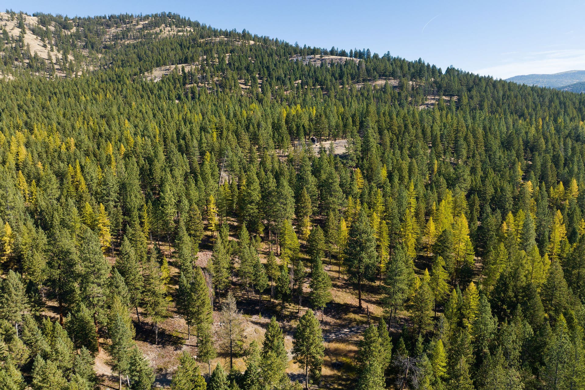 1230 Truman Creek Road, Kila, MT 59920 Aerial of Property