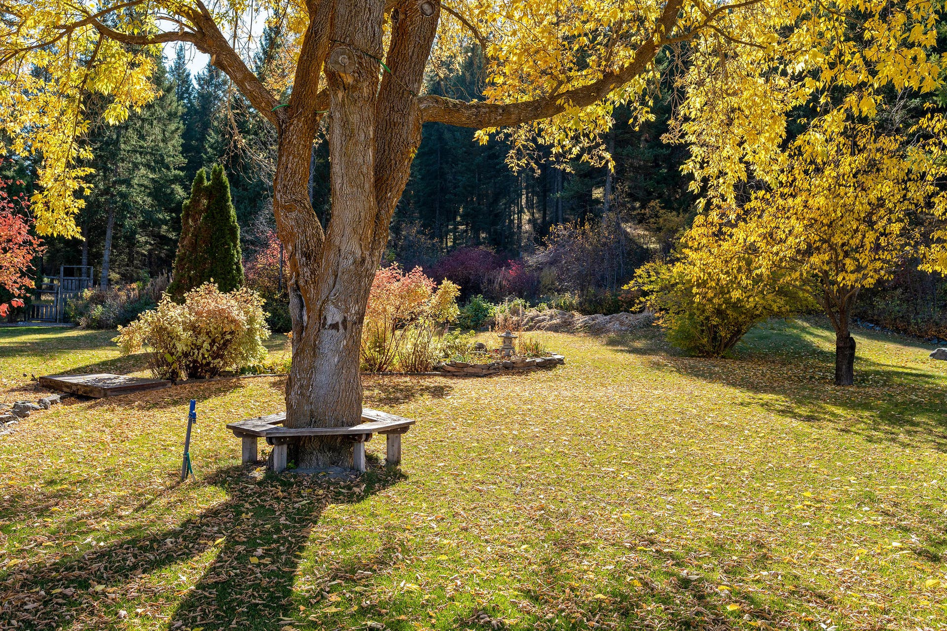 1230 Truman Creek Road, Kila, MT 59920 Landscaping in Yard