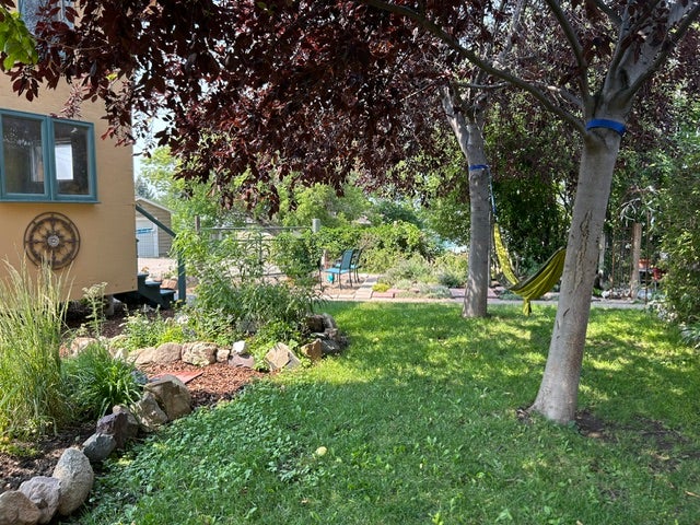 Backyard with apple tree, blue berry bush and fire pit.