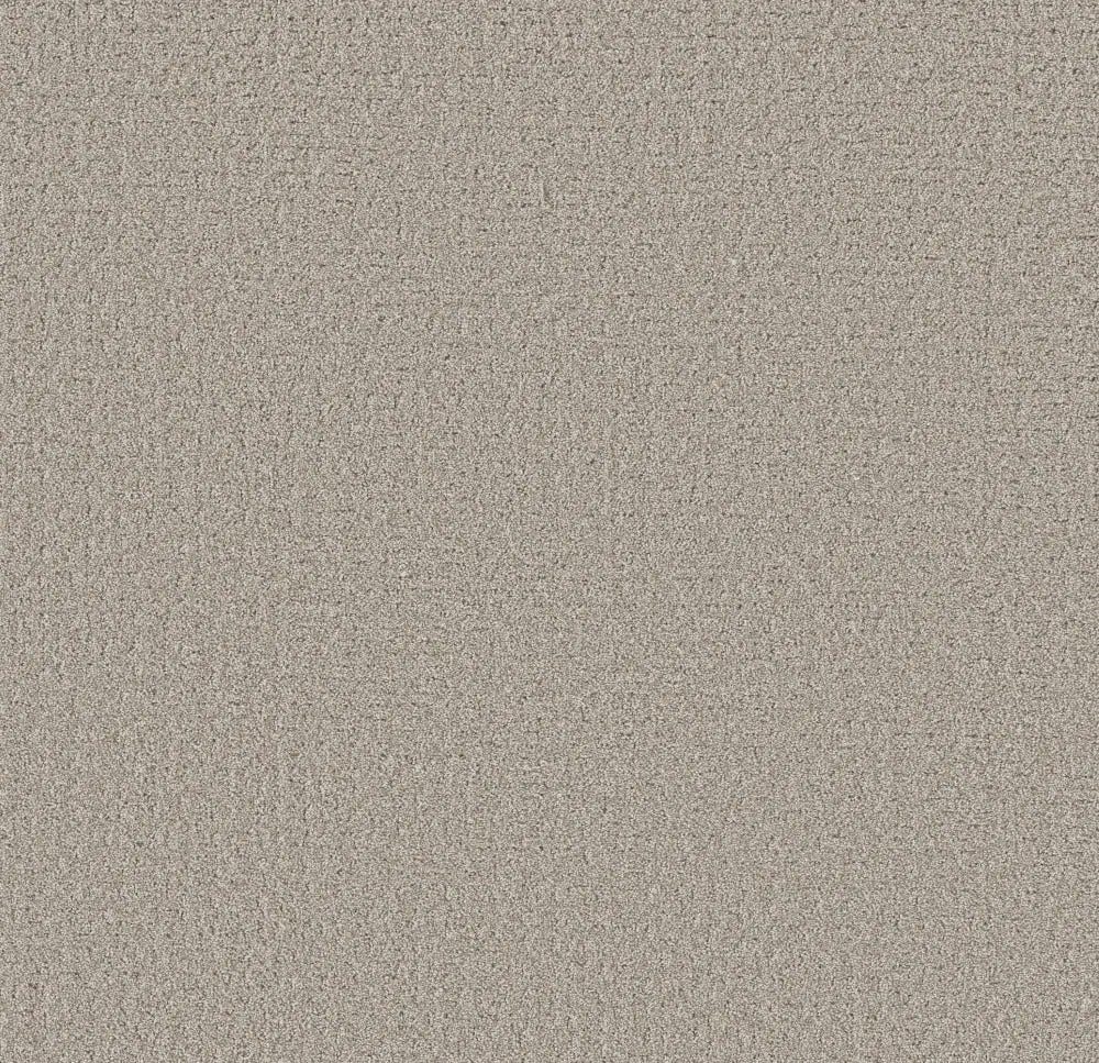 33542 Westview Drive, Bigfork, MT 59911 Carpet color sample