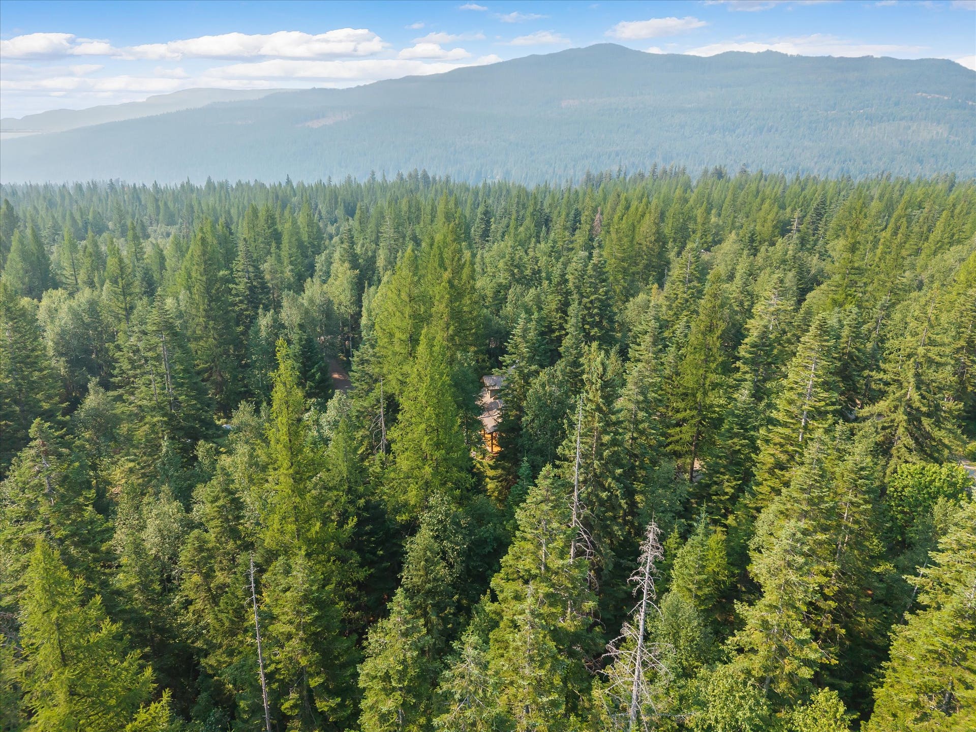 13786 Ridge Loop Road, Bigfork, MT 59911 13786 Ridge Loop Road, Bigfork, MT 59911