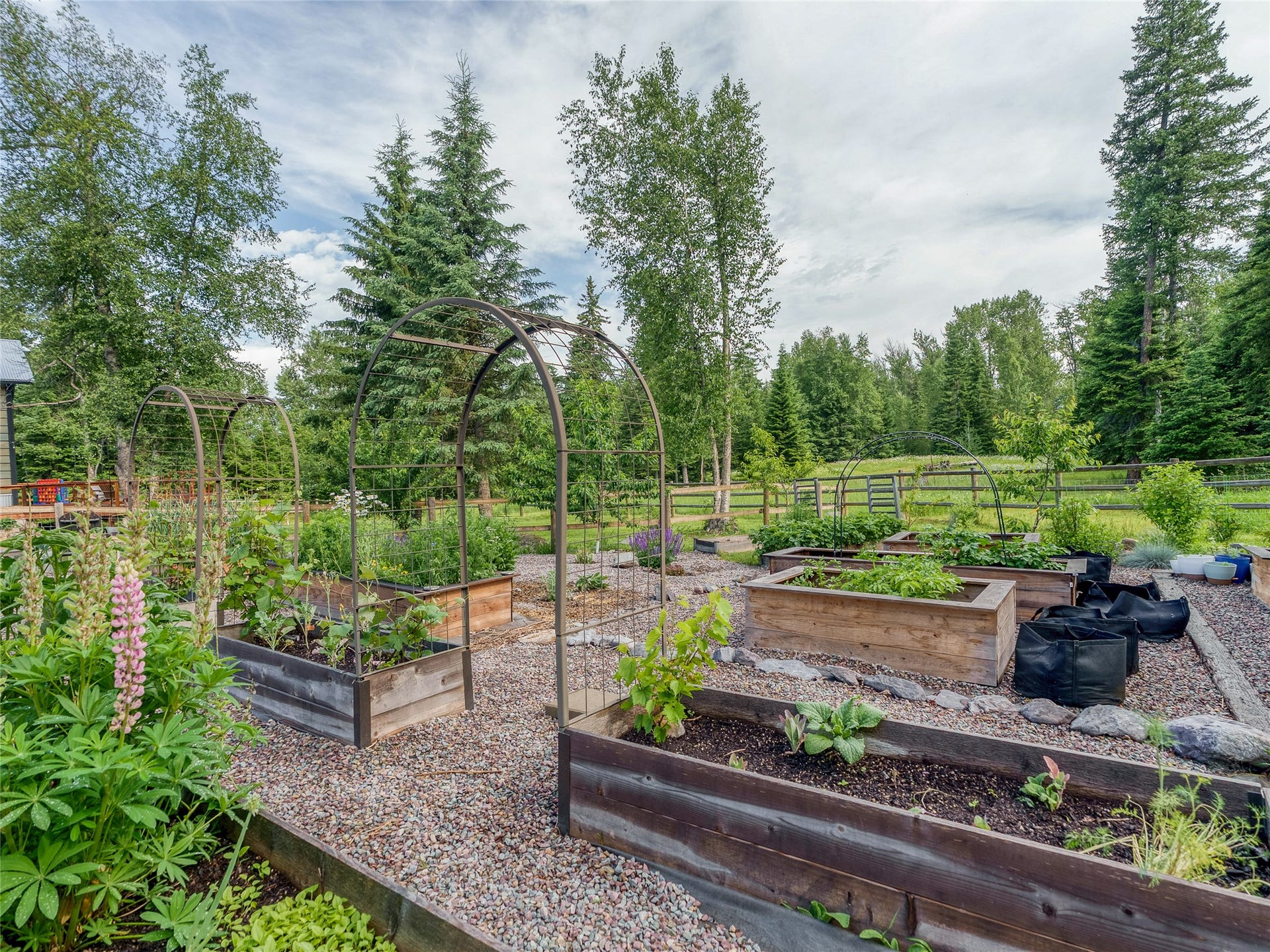 28012 Meadow Creek Road, Bigfork, MT 59911 Expansive garden area featuring multiple wood-finish raised garden beds, gravel pathways, and decorative metal arbors