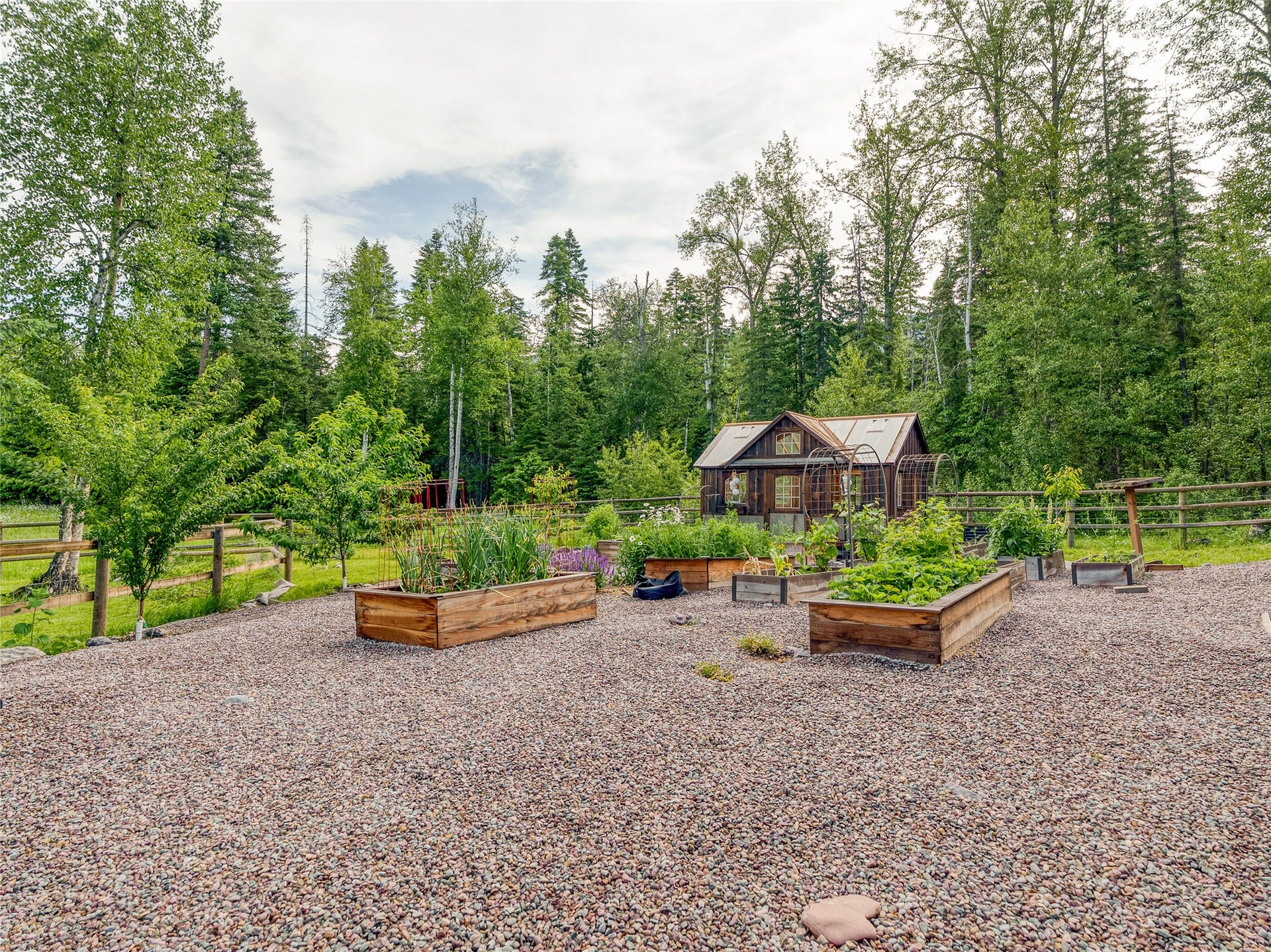 28012 Meadow Creek Road, Bigfork, MT 59911 Gravel yard featuring multiple raised garden beds, a rustic wood-frame greenhouse, and mature perimeter trees