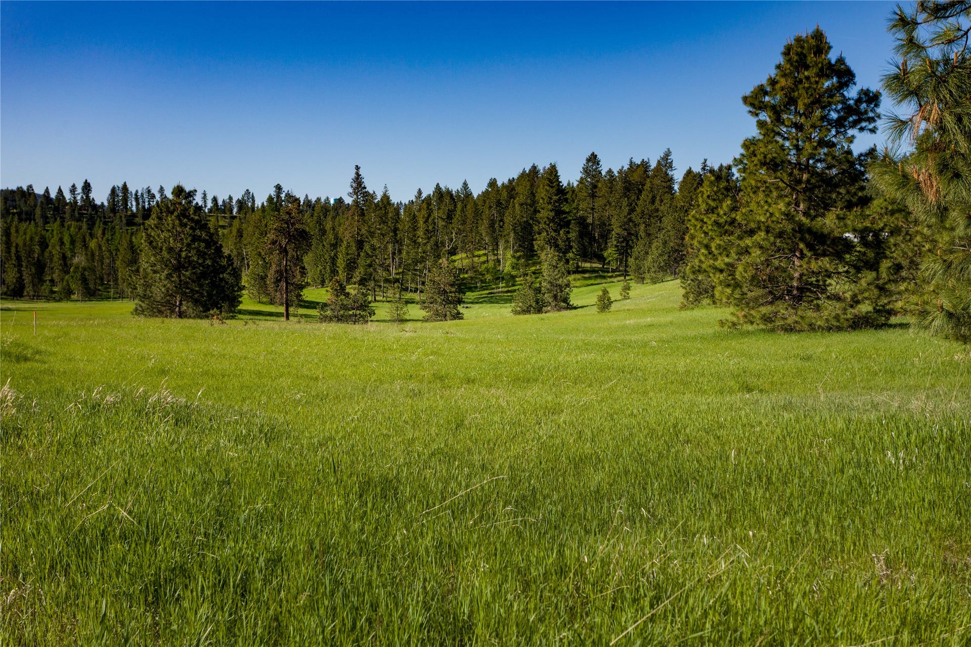 NHN Northshore Drive, #Lot 7, Bigfork, MT 59911 Northshore Woods Phase 1