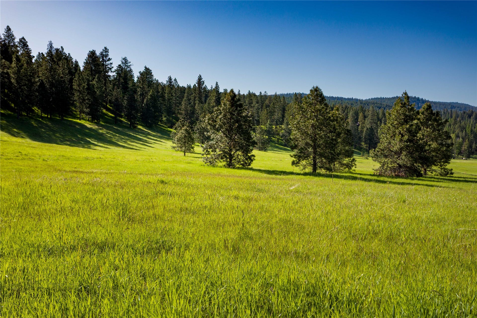 NHN Northshore Drive, #Lot 48, Bigfork, MT 59911 Northshore Woods Phase 1 open Meadow Lots