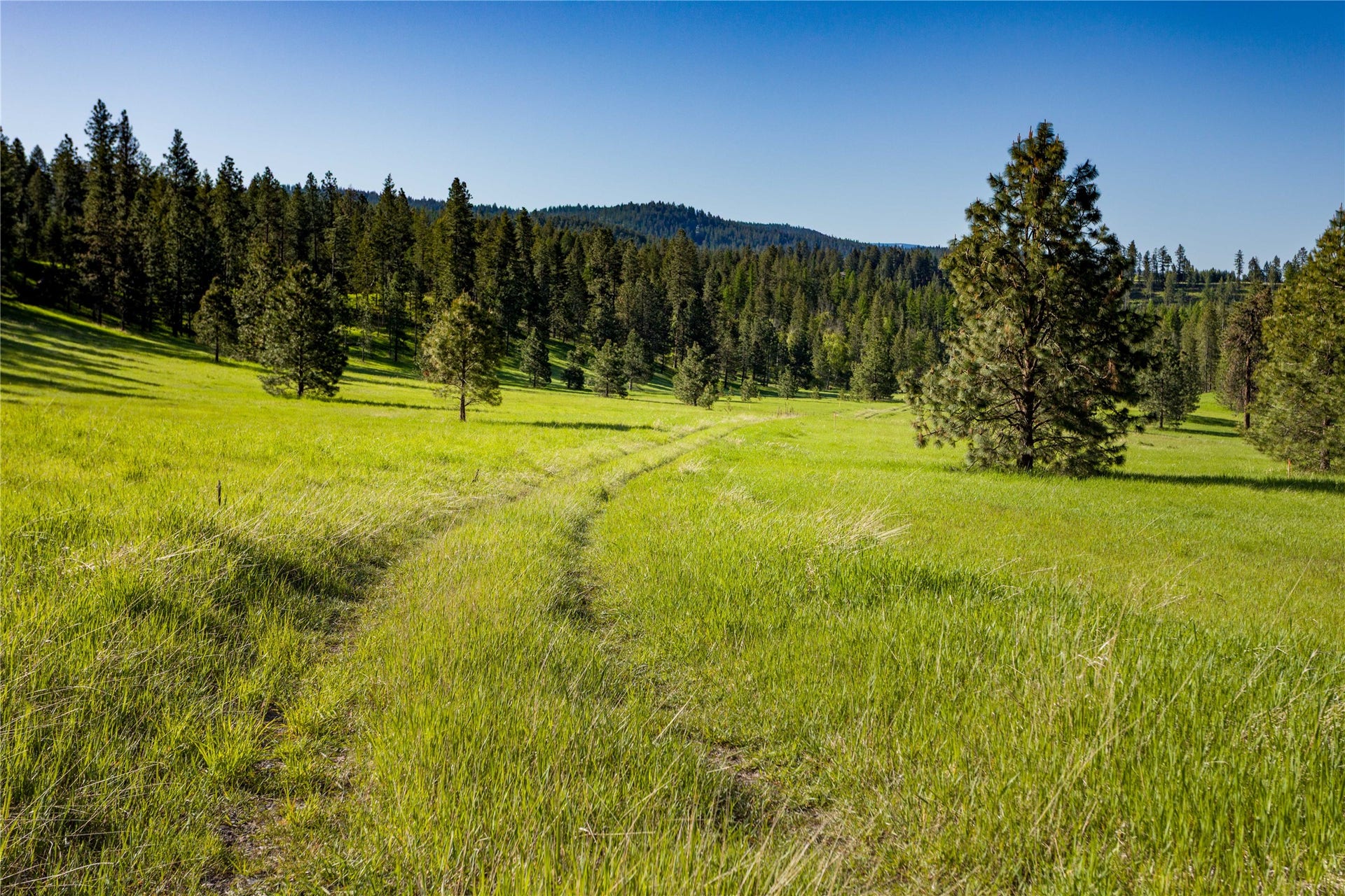 NHN Northshore Drive, #Lot 48, Bigfork, MT 59911 Northshore Woods Phase 1