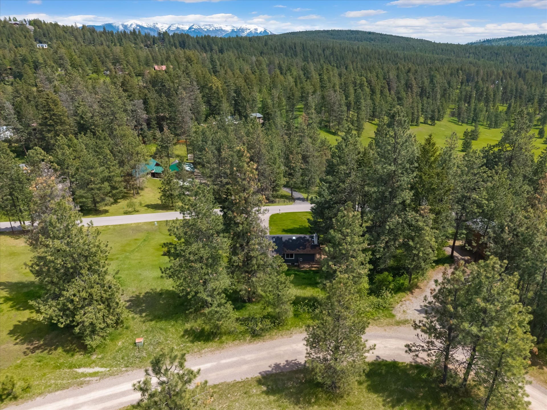 300 Peaceful Drive, Bigfork, MT 59911 Expansive wooded acreage featuring a distant mountain range, mature evergreen trees, and a gravel road
