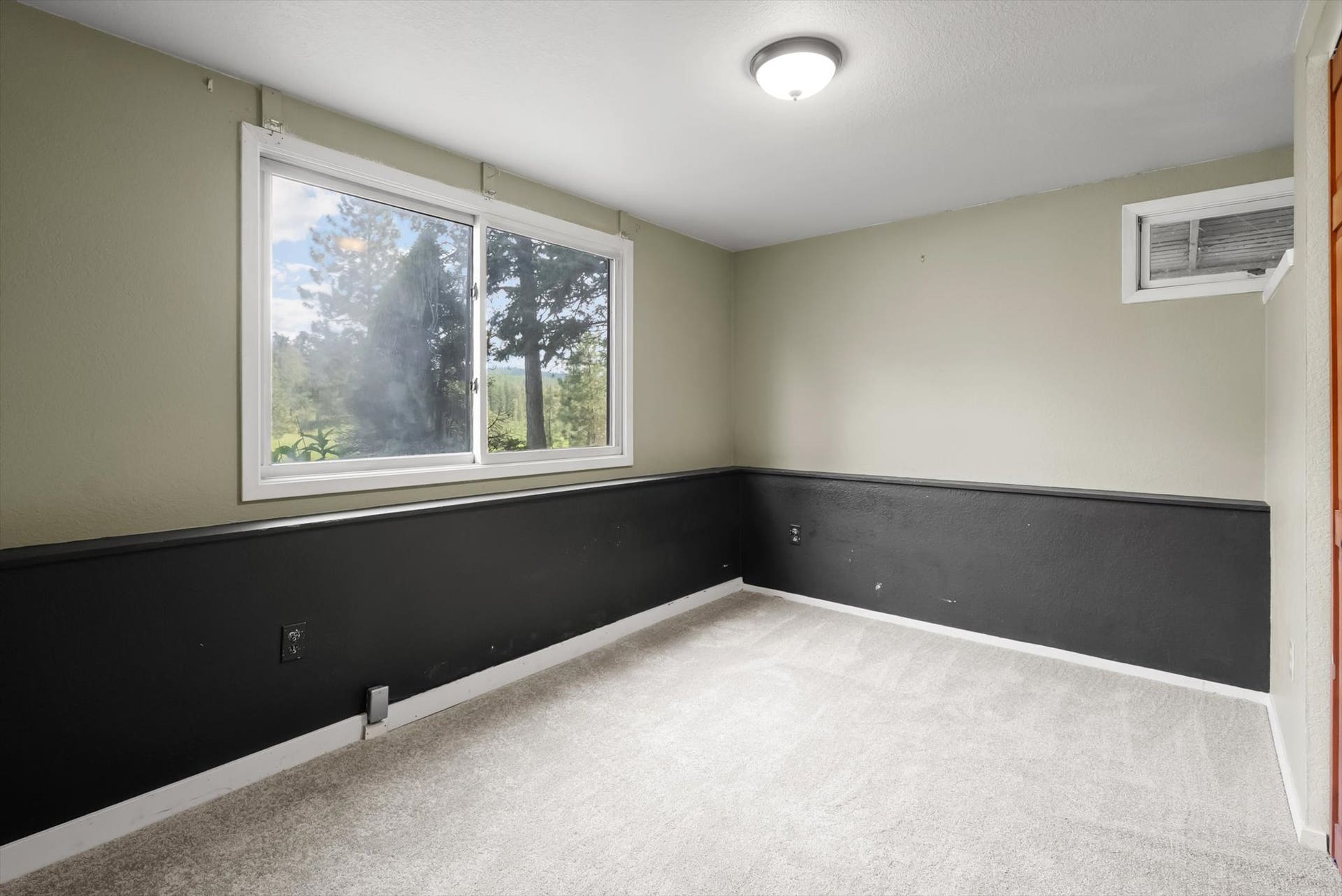 300 Peaceful Drive, Bigfork, MT 59911 Windowed room featuring light-colored carpet, two-tone painted walls, and a ceiling-mounted light fixture