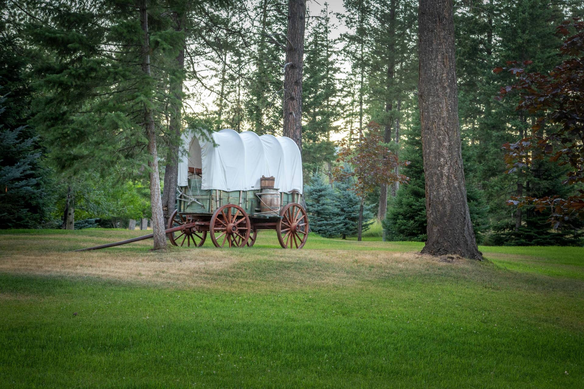 12890 Carney Ranch Road, Bigfork, MT 59911 12890 Carney Ranch Road, Bigfork, MT 59911