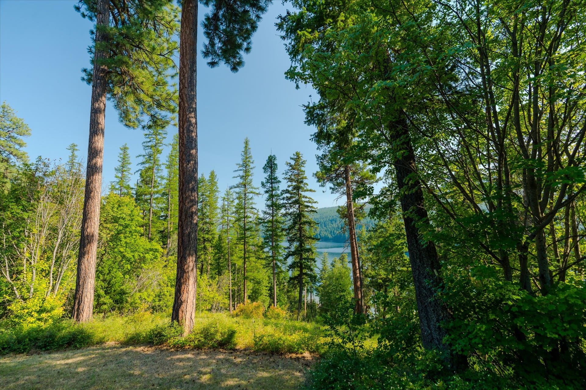 14259 Sunburst Drive, Bigfork, MT 59911 14259 Sunburst Drive, Bigfork, MT 59911