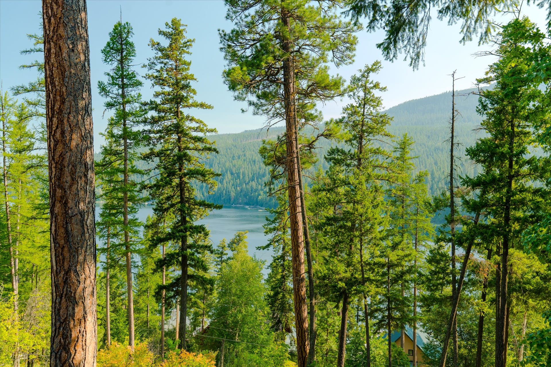 14259 Sunburst Drive, Bigfork, MT 59911 14259 Sunburst Drive, Bigfork, MT 59911