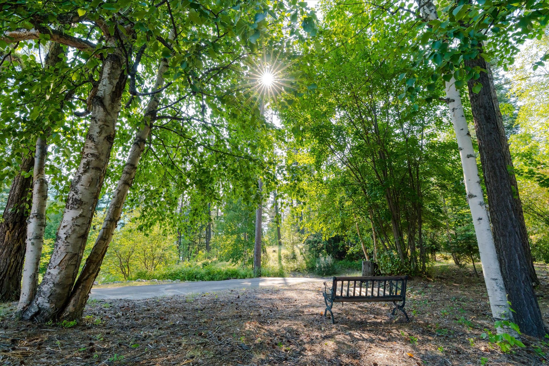 14259 Sunburst Drive, Bigfork, MT 59911 shady sitting spot by the garden and shop