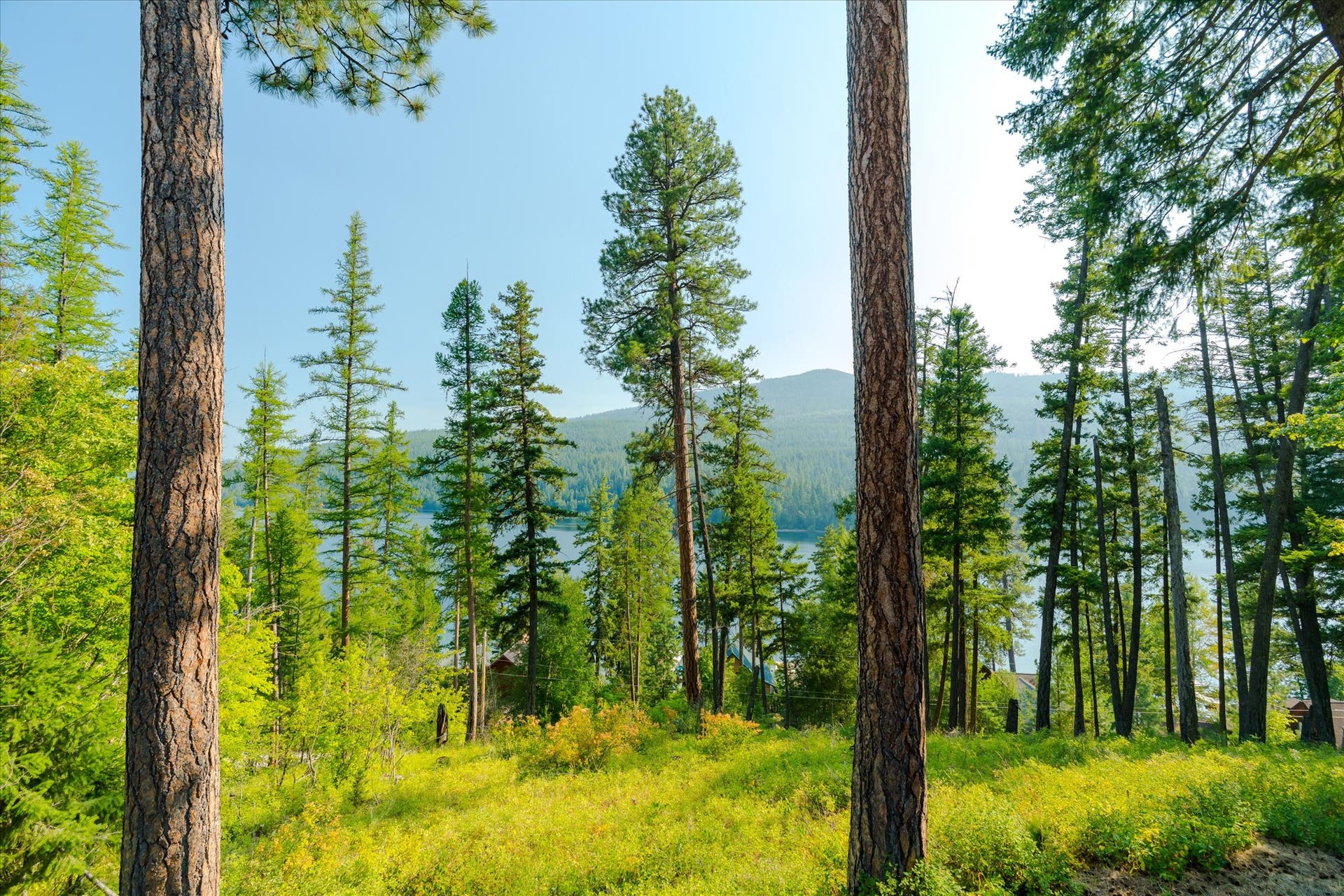 14259 Sunburst Drive, Bigfork, MT 59911 14259 Sunburst Drive, Bigfork, MT 59911
