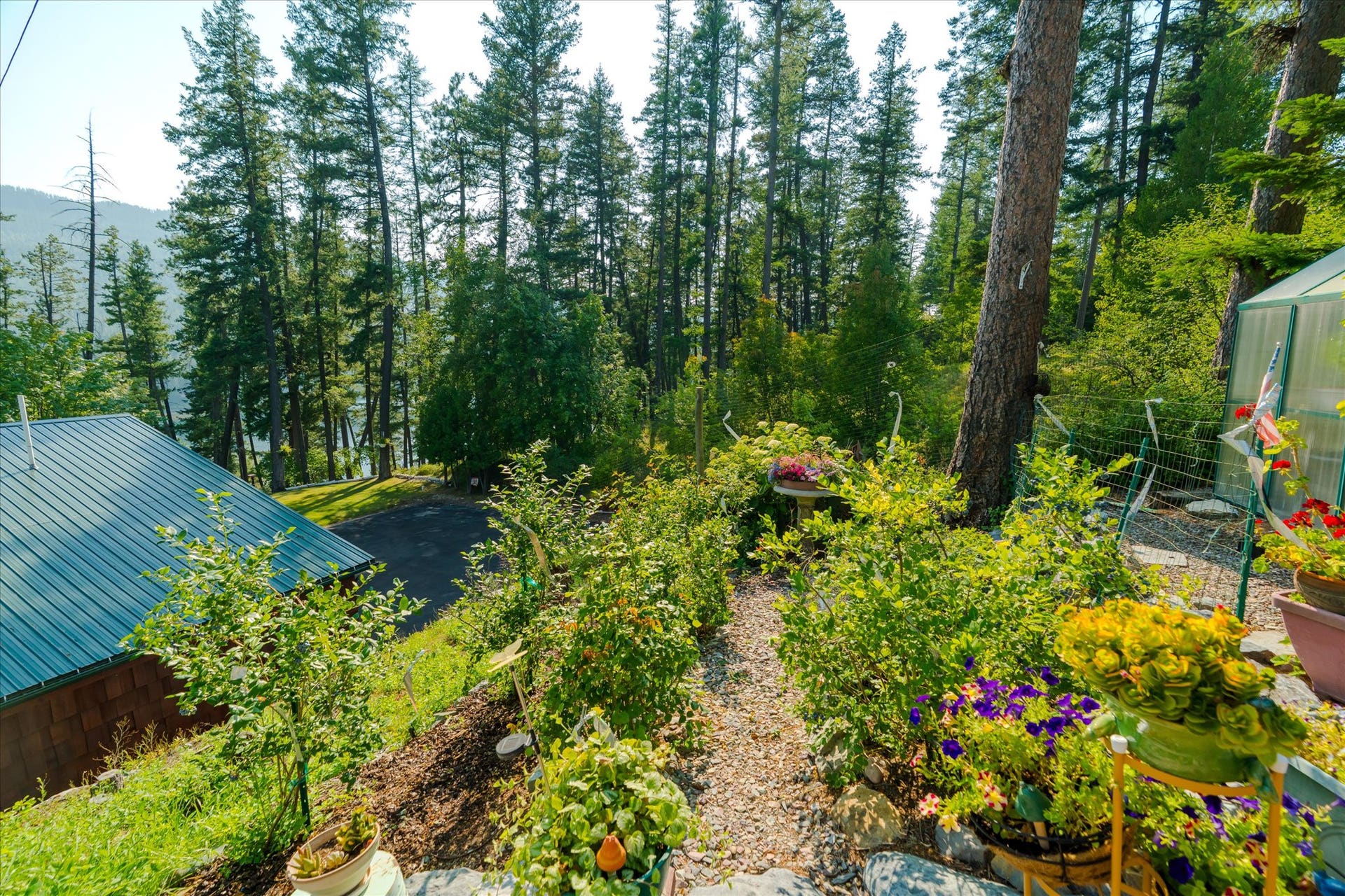 14259 Sunburst Drive, Bigfork, MT 59911 view to house