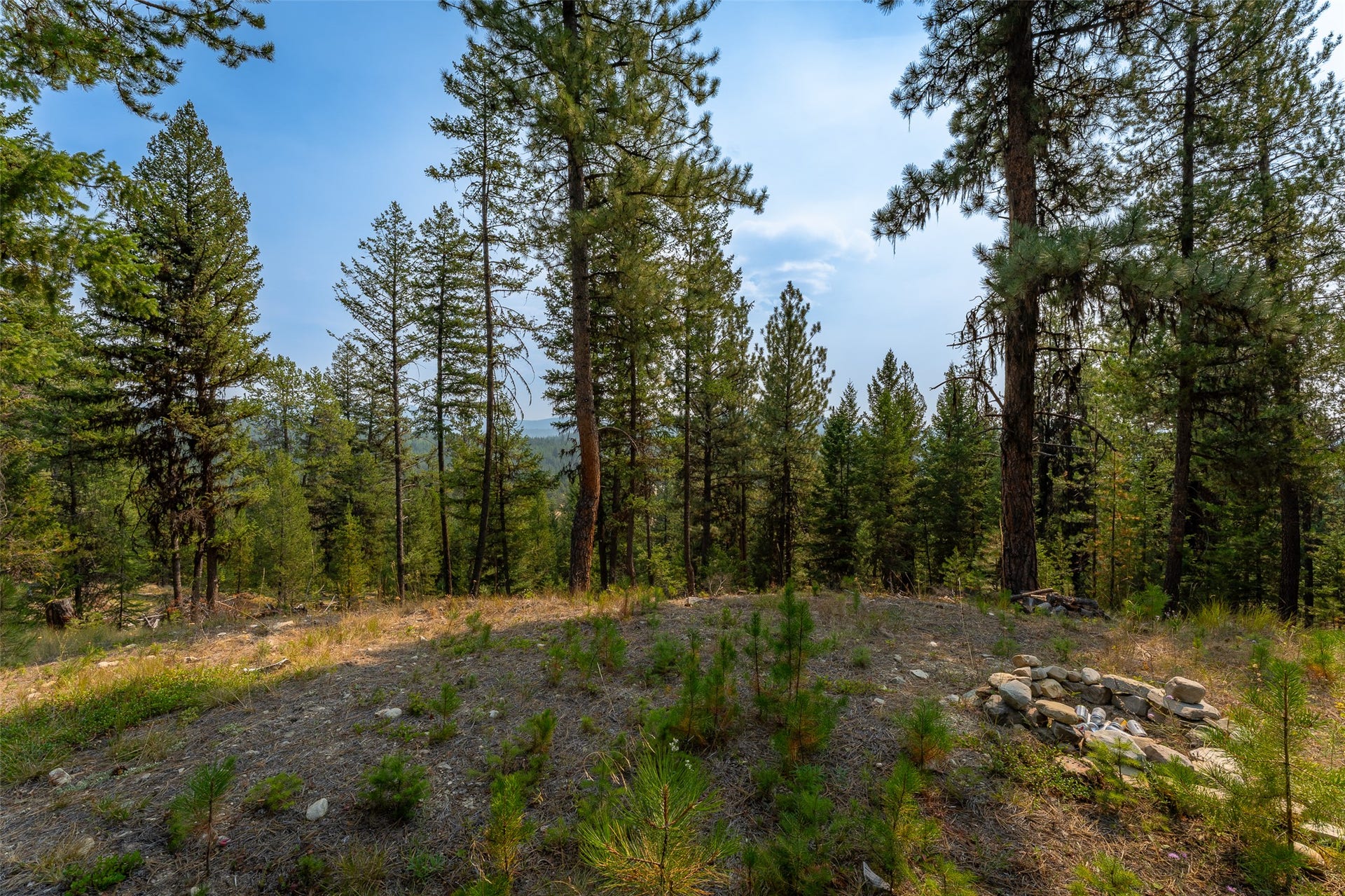 9653 Us Highway 2 W, Marion, MT 59925 Wooded hillside with mature evergreen trees and a stone-lined fire pit