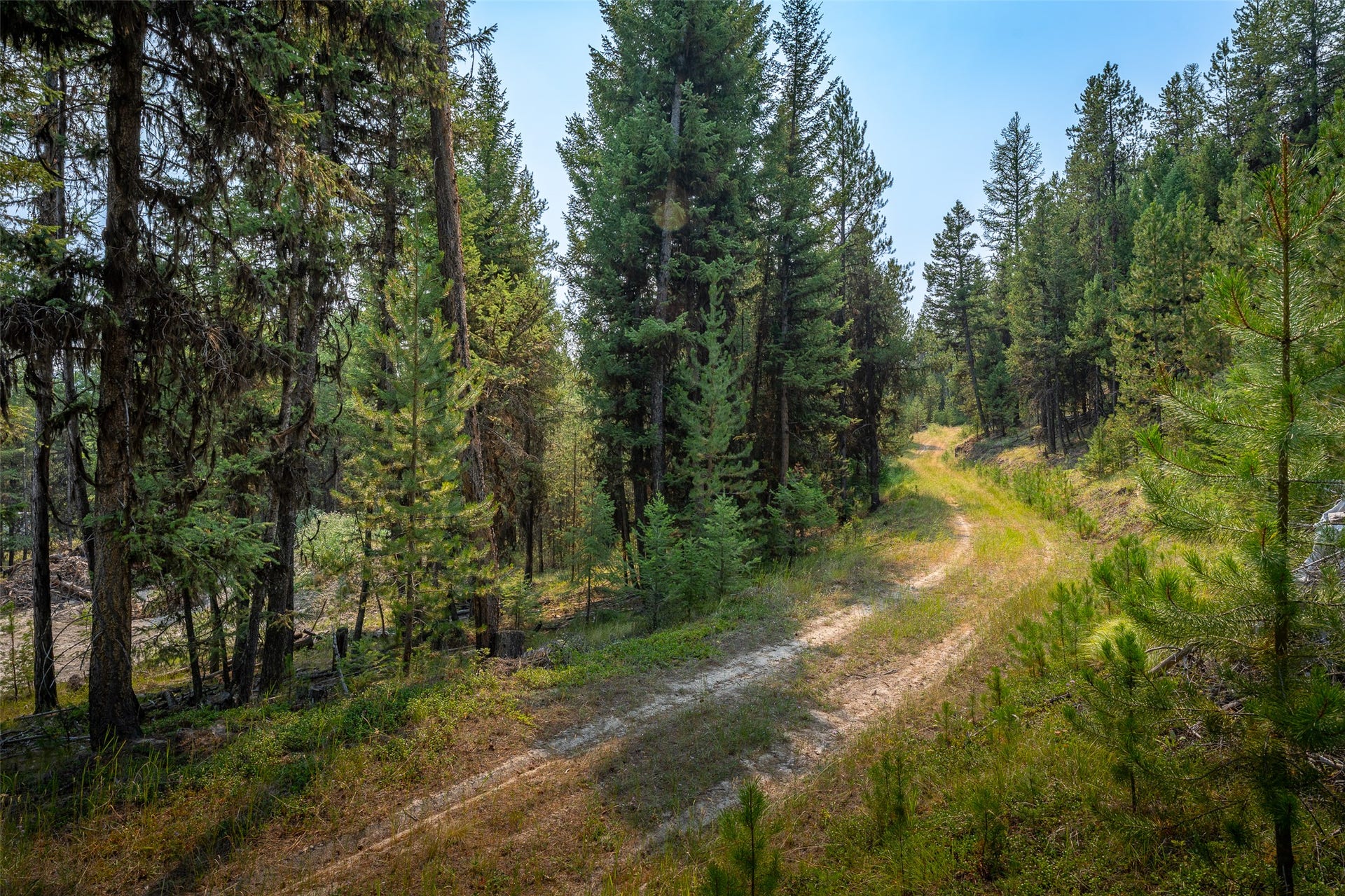 9653 Us Highway 2 W, Marion, MT 59925 Road to another build site