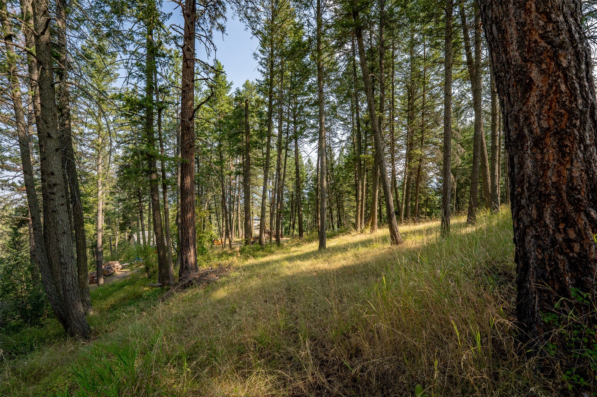 2790 Mt Highway 82, Bigfork, MT 59911 2790 Mt Highway 82, Bigfork, MT 59911