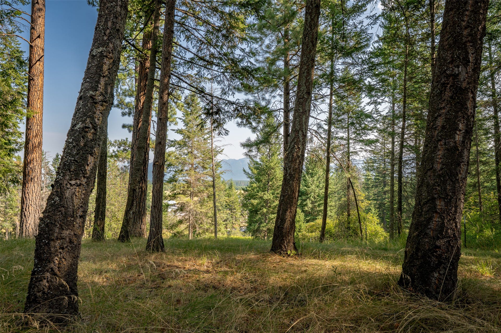 2790 Mt Highway 82, Bigfork, MT 59911 2790 Mt Highway 82, Bigfork, MT 59911