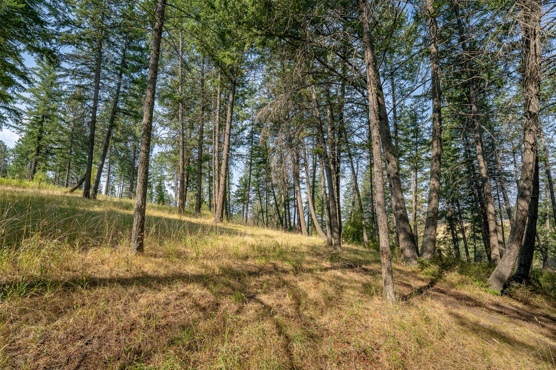 2790 Mt Highway 82, Bigfork, MT 59911 2790 Mt Highway 82, Bigfork, MT 59911
