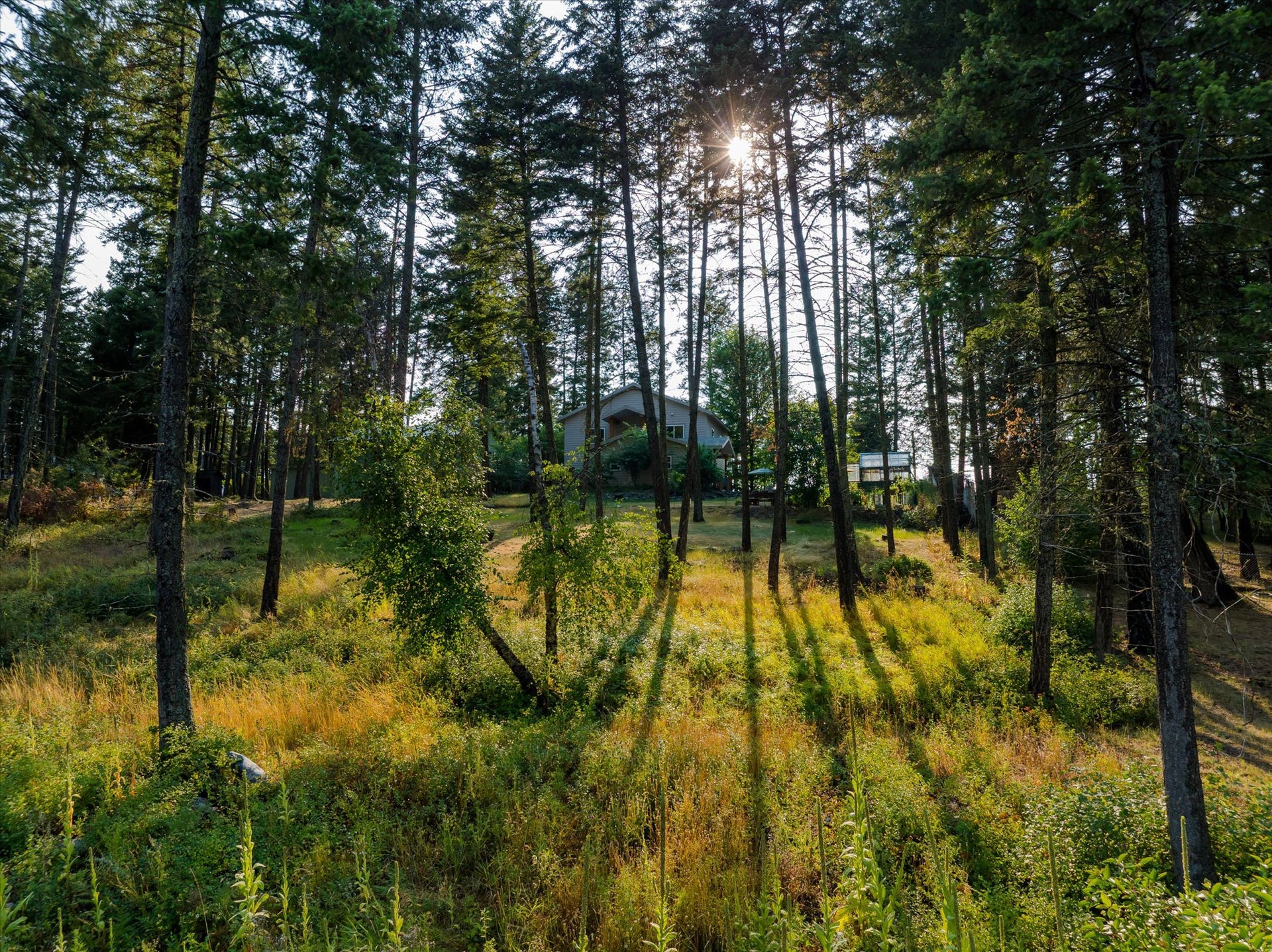 165 Sylvan Drive, Bigfork, MT 59911 Backyard - 165 Sylvan Drive - Bigfork, MT 59911