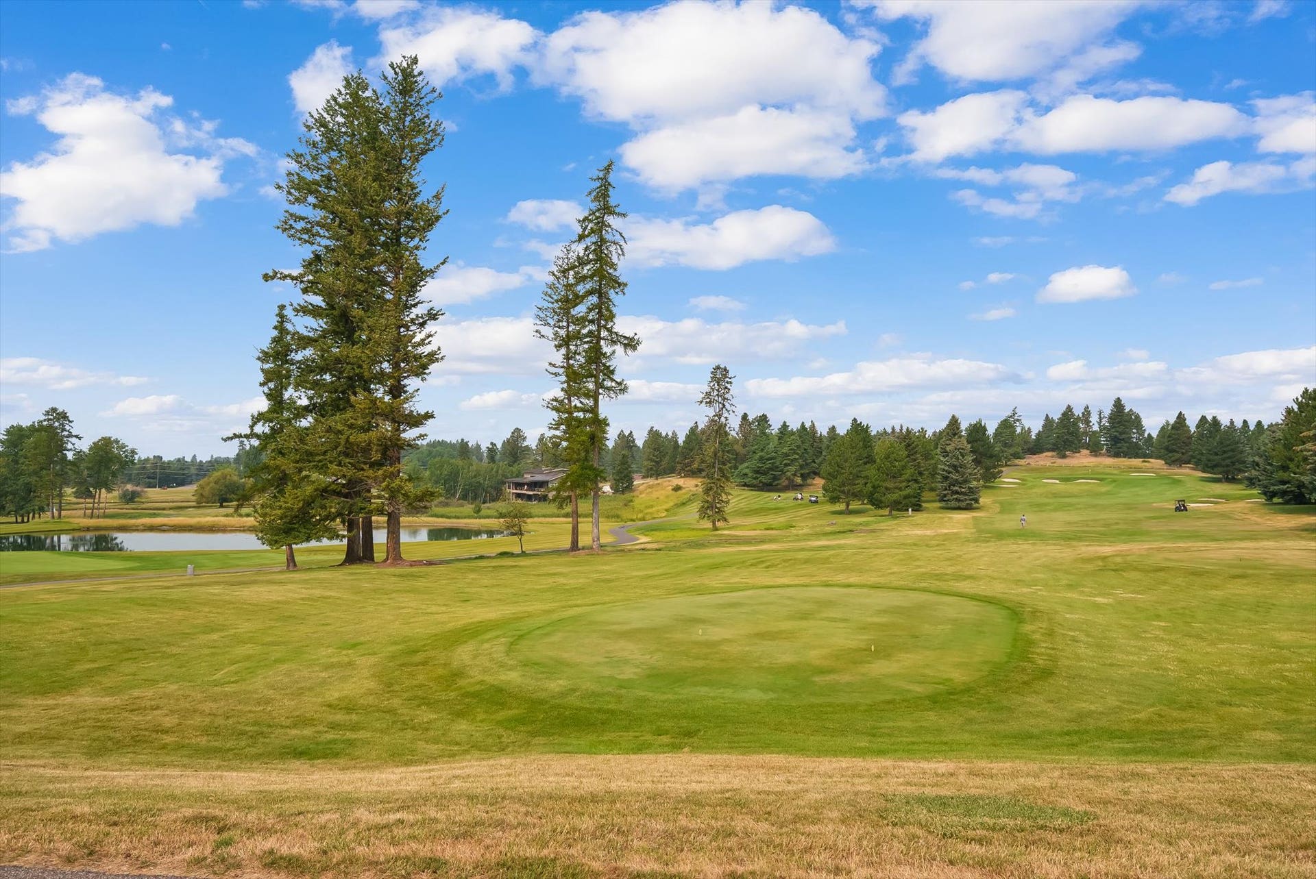 257 Eagle Bend Drive, Bigfork, MT 59911 257 Eagle Bend Drive, Bigfork, MT 59911