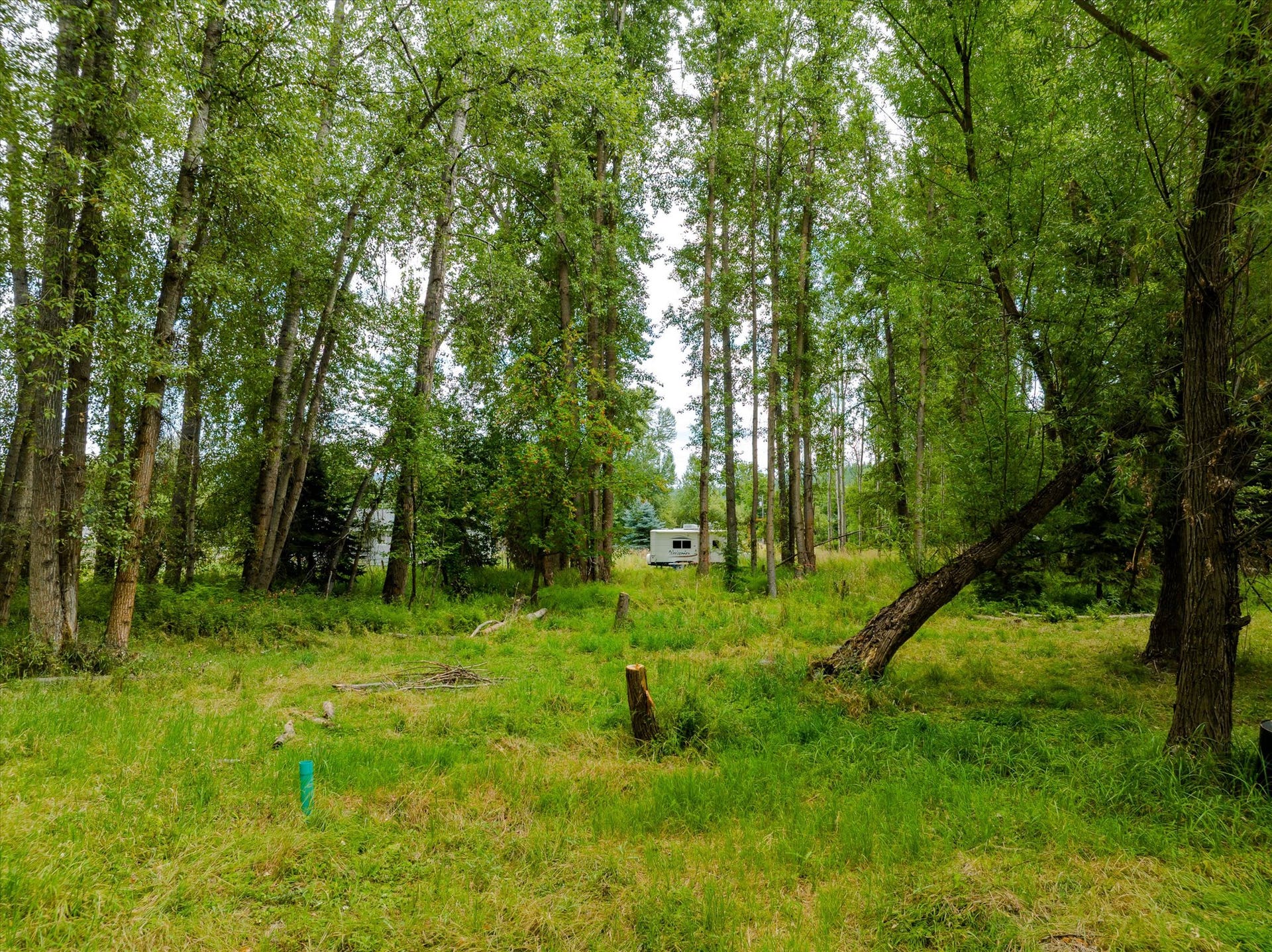 98 Dome Mountain Avenue, Libby, MT 59923 Potential build site