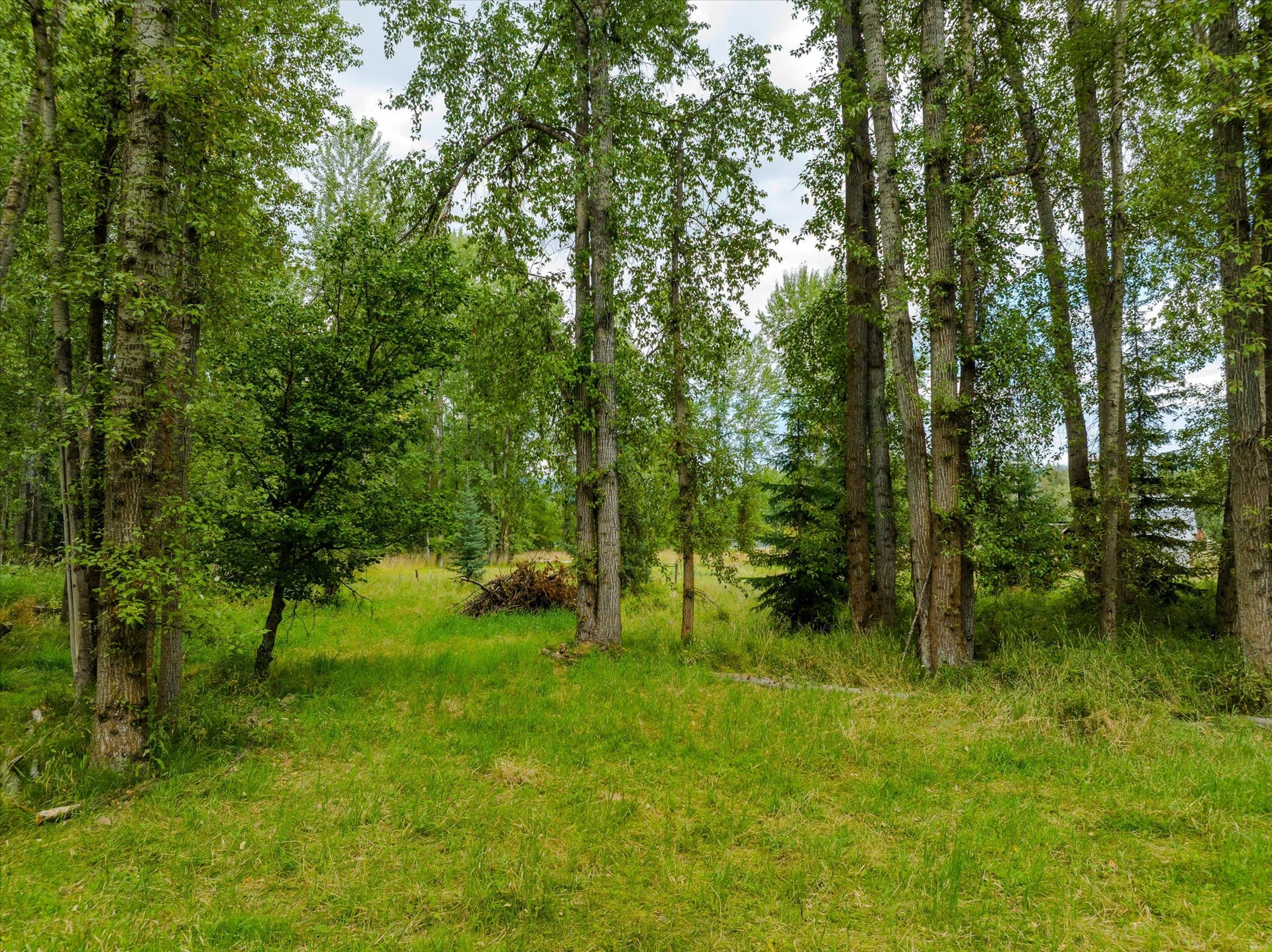 98 Dome Mountain Avenue, Libby, MT 59923 Potential build site