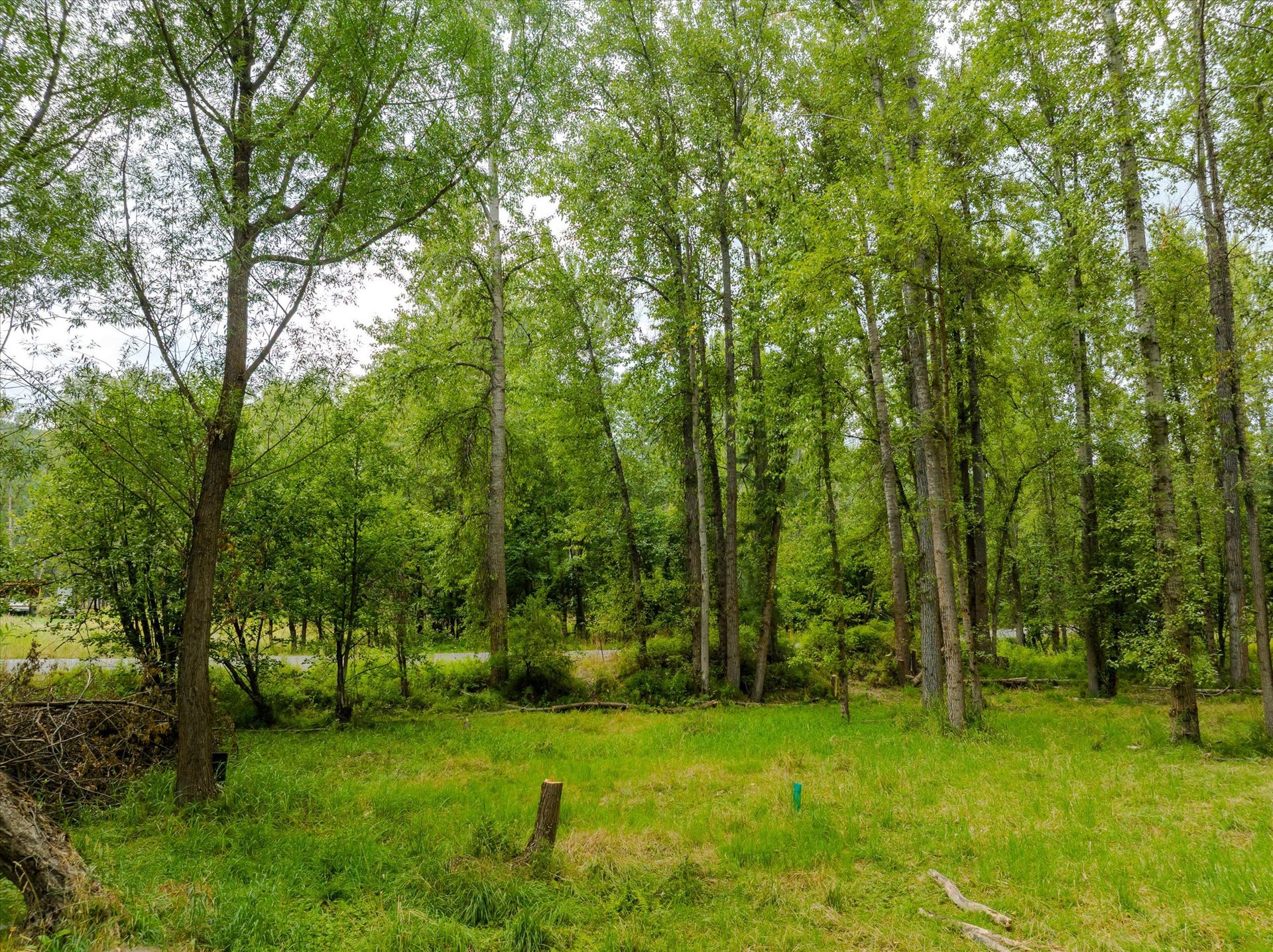 98 Dome Mountain Avenue, Libby, MT 59923 Potential build site