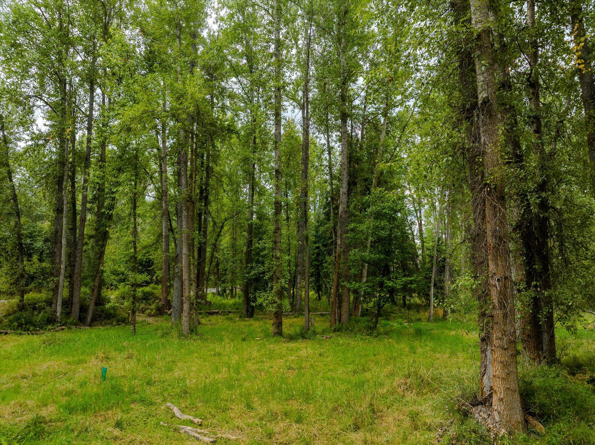 98 Dome Mountain Avenue, Libby, MT 59923 Potential build site