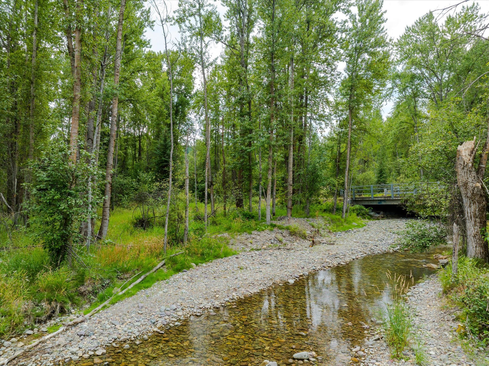 98 Dome Mountain Avenue, Libby, MT 59923 Parmenter Creek along property line