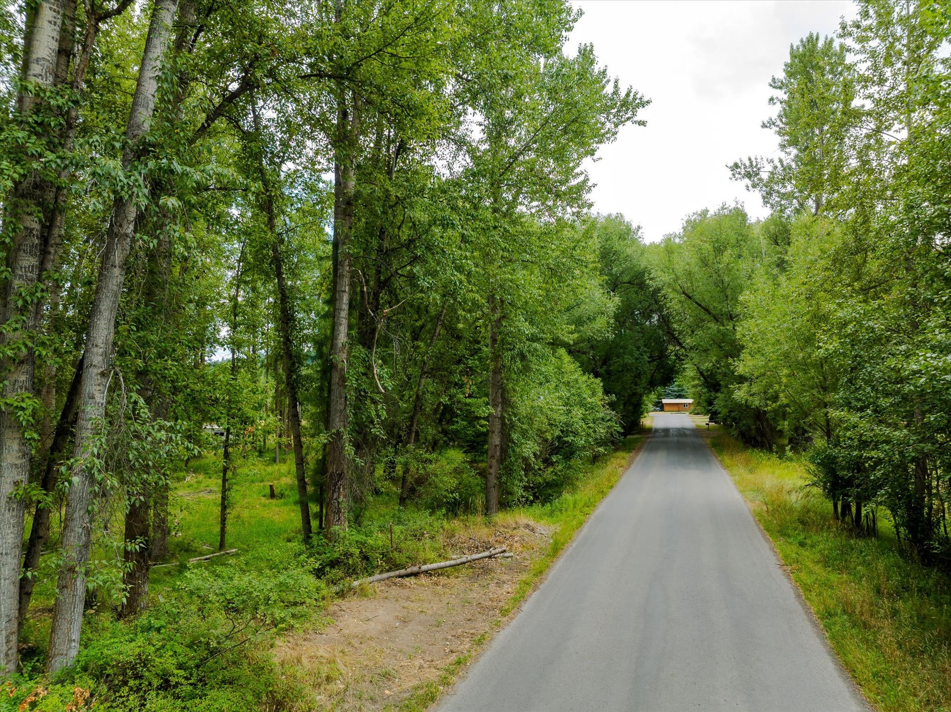 98 Dome Mountain Avenue, Libby, MT 59923 County road access