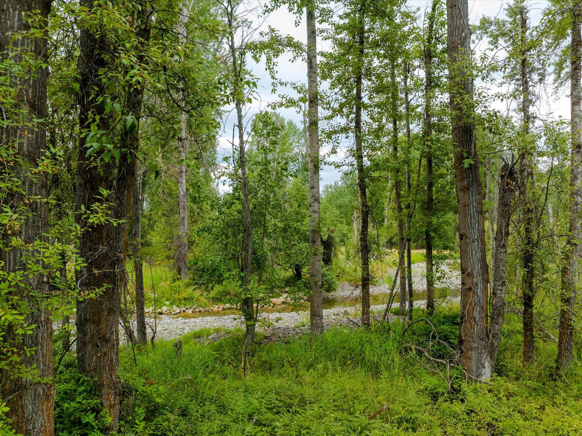 98 Dome Mountain Avenue, Libby, MT 59923 View of Parmenter Creek from property