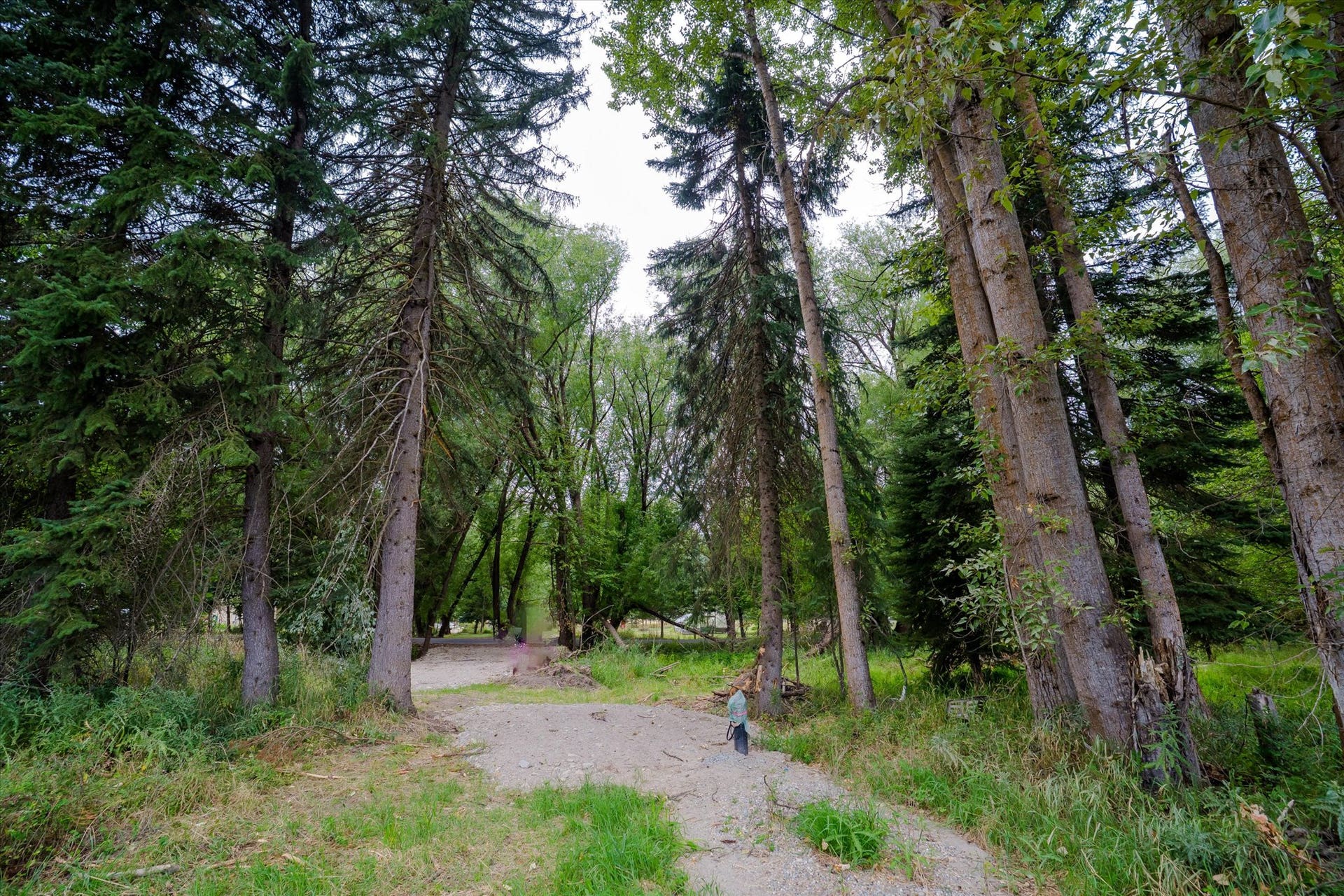 98 Dome Mountain Avenue, Libby, MT 59923 Well and pump