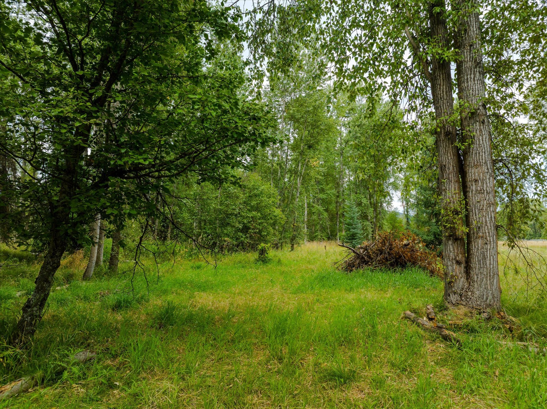 98 Dome Mountain Avenue, Libby, MT 59923 Potential build site
