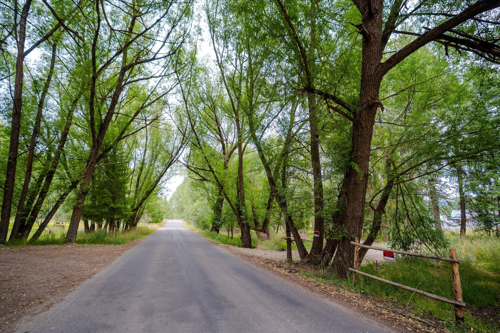 98 Dome Mountain Avenue, Libby, MT 59923 County road access