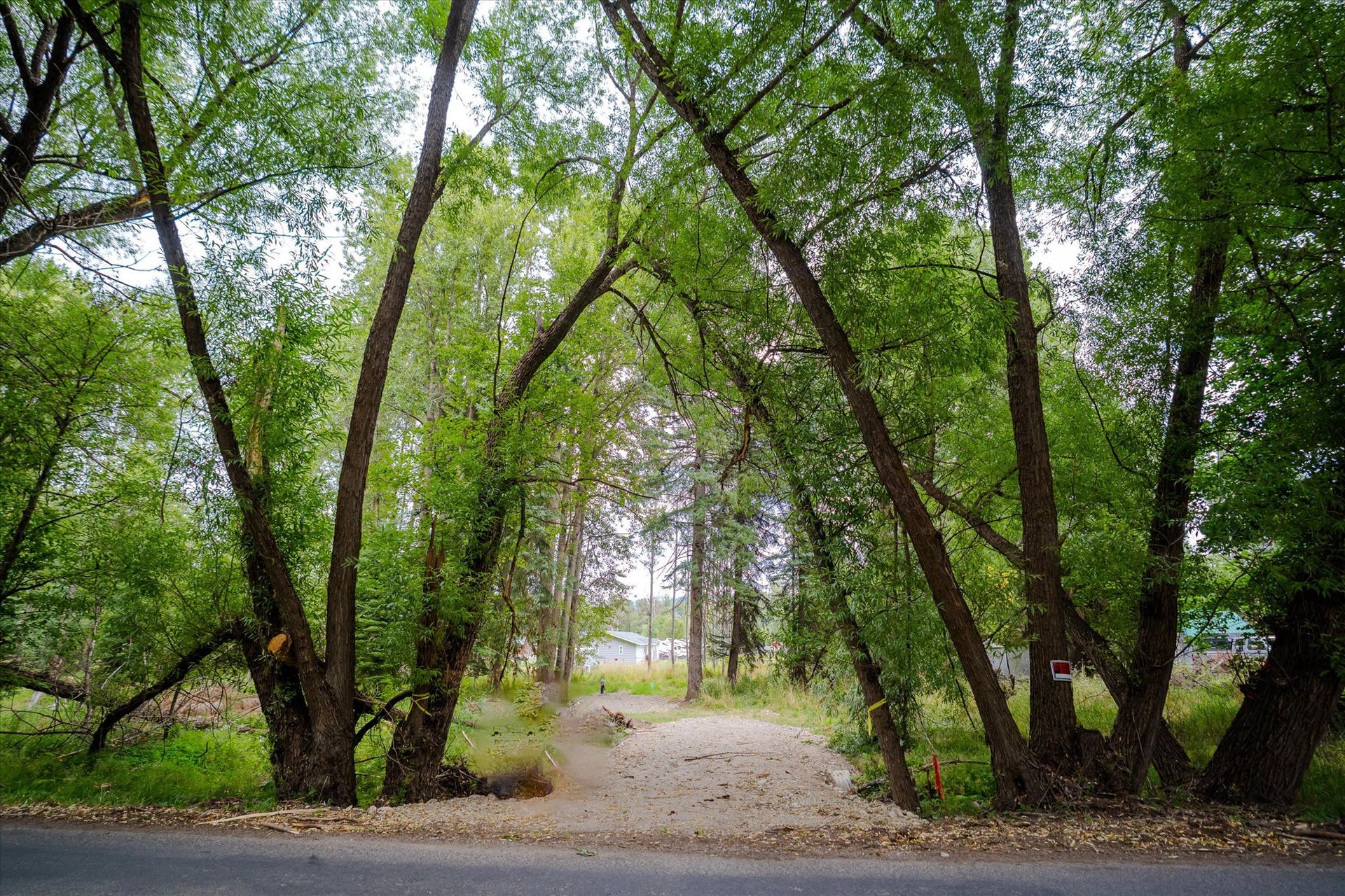 98 Dome Mountain Avenue, Libby, MT 59923 Culverted gravel driveway