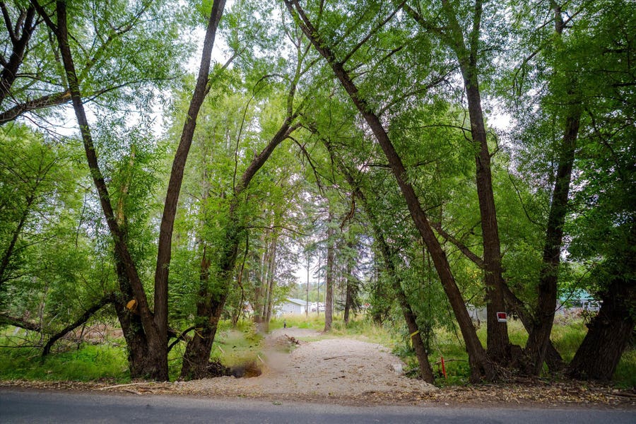 Property photo for 98 Dome Mountain Avenue, Libby, MT