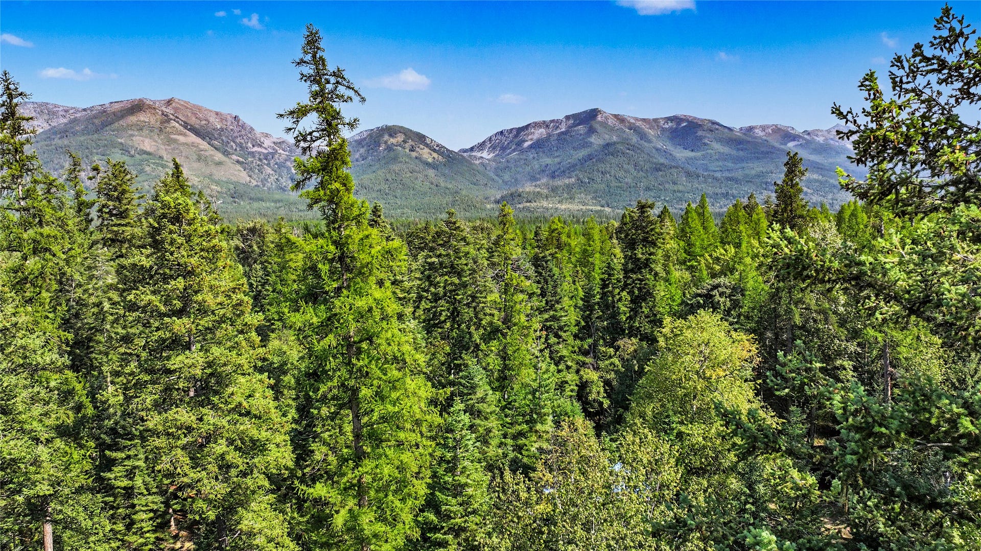595 Wapiti Lane, Bigfork, MT 59911 595 Wapiti Lane, Bigfork, MT 59911