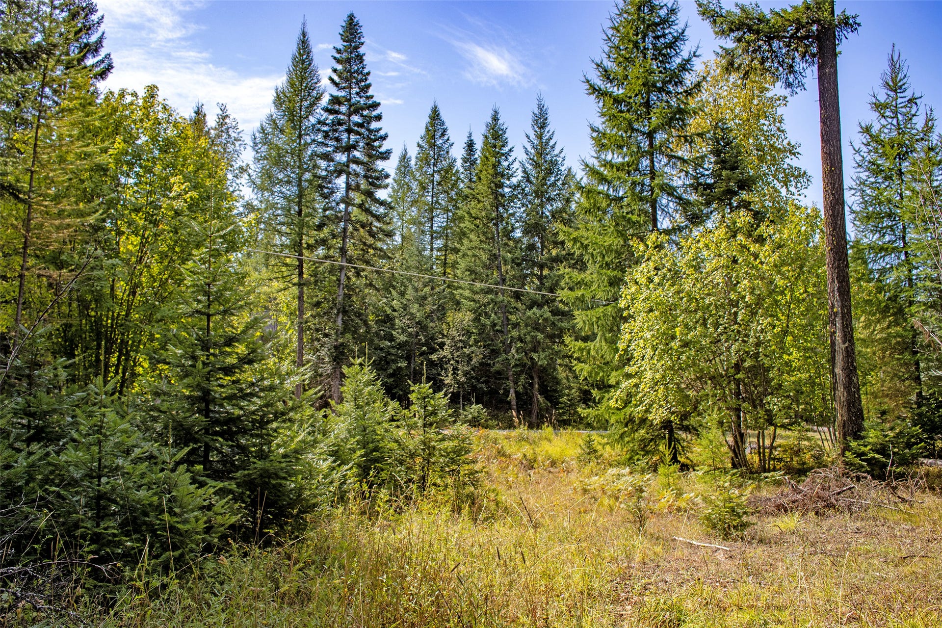 595 Wapiti Lane, Bigfork, MT 59911 595 Wapiti Lane, Bigfork, MT 59911