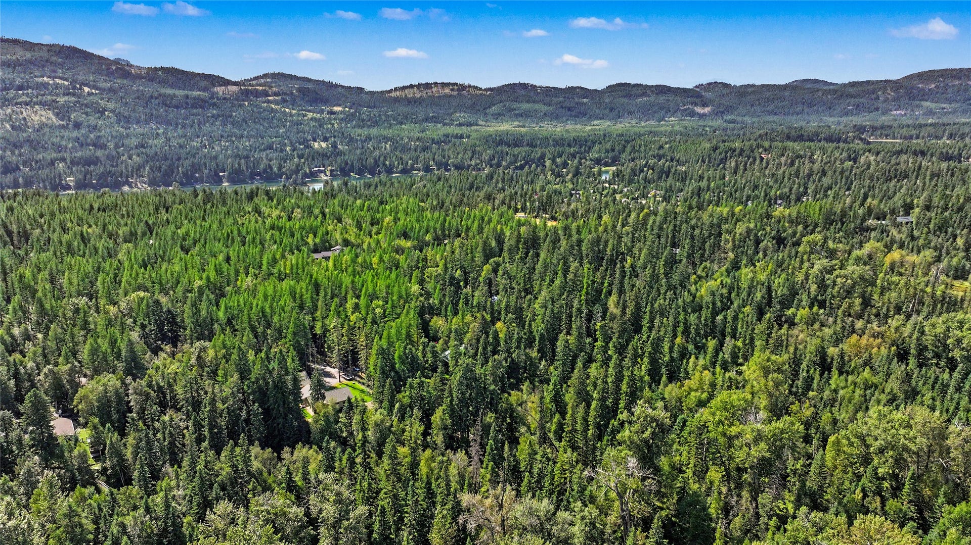 595 Wapiti Lane, Bigfork, MT 59911 595 Wapiti Lane, Bigfork, MT 59911