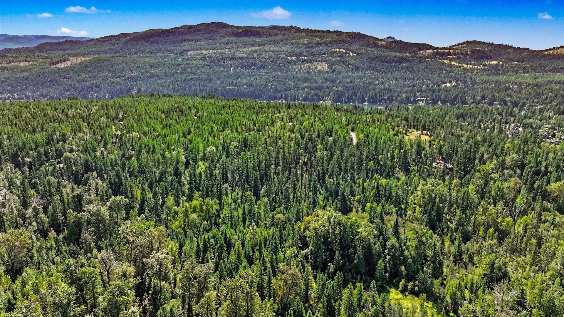 595 Wapiti Lane, Bigfork, MT 59911 595 Wapiti Lane, Bigfork, MT 59911