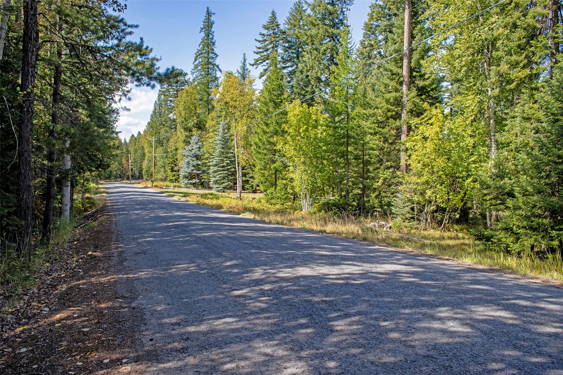 595 Wapiti Lane, Bigfork, MT 59911 595 Wapiti Lane, Bigfork, MT 59911