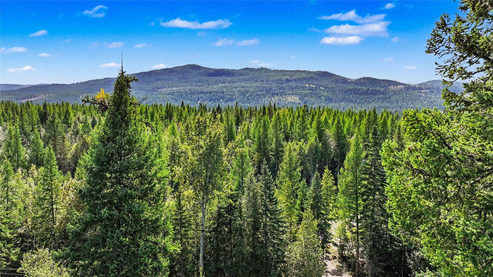 595 Wapiti Lane, Bigfork, MT 59911 595 Wapiti Lane, Bigfork, MT 59911