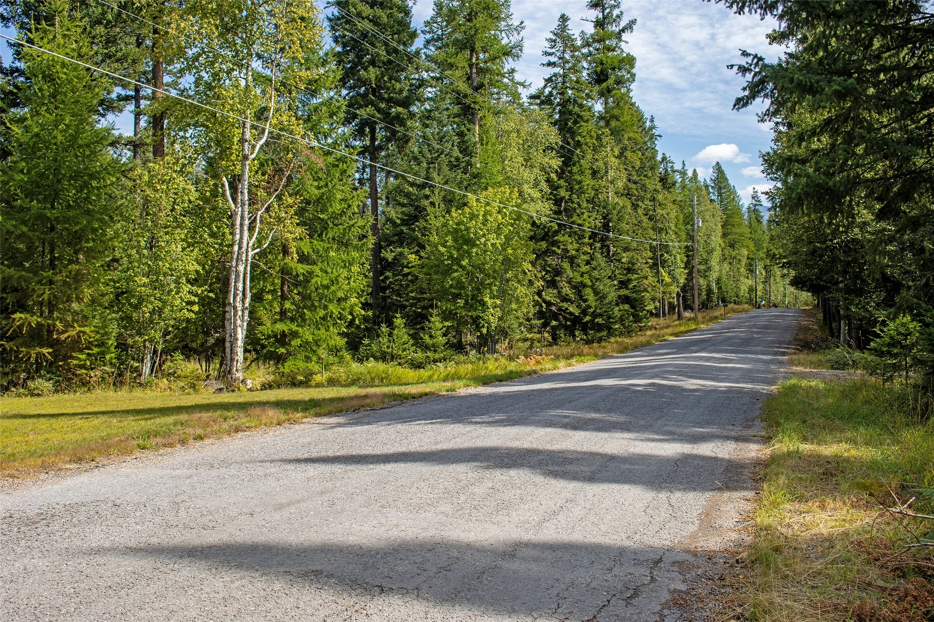 595 Wapiti Lane, Bigfork, MT 59911 595 Wapiti Lane, Bigfork, MT 59911